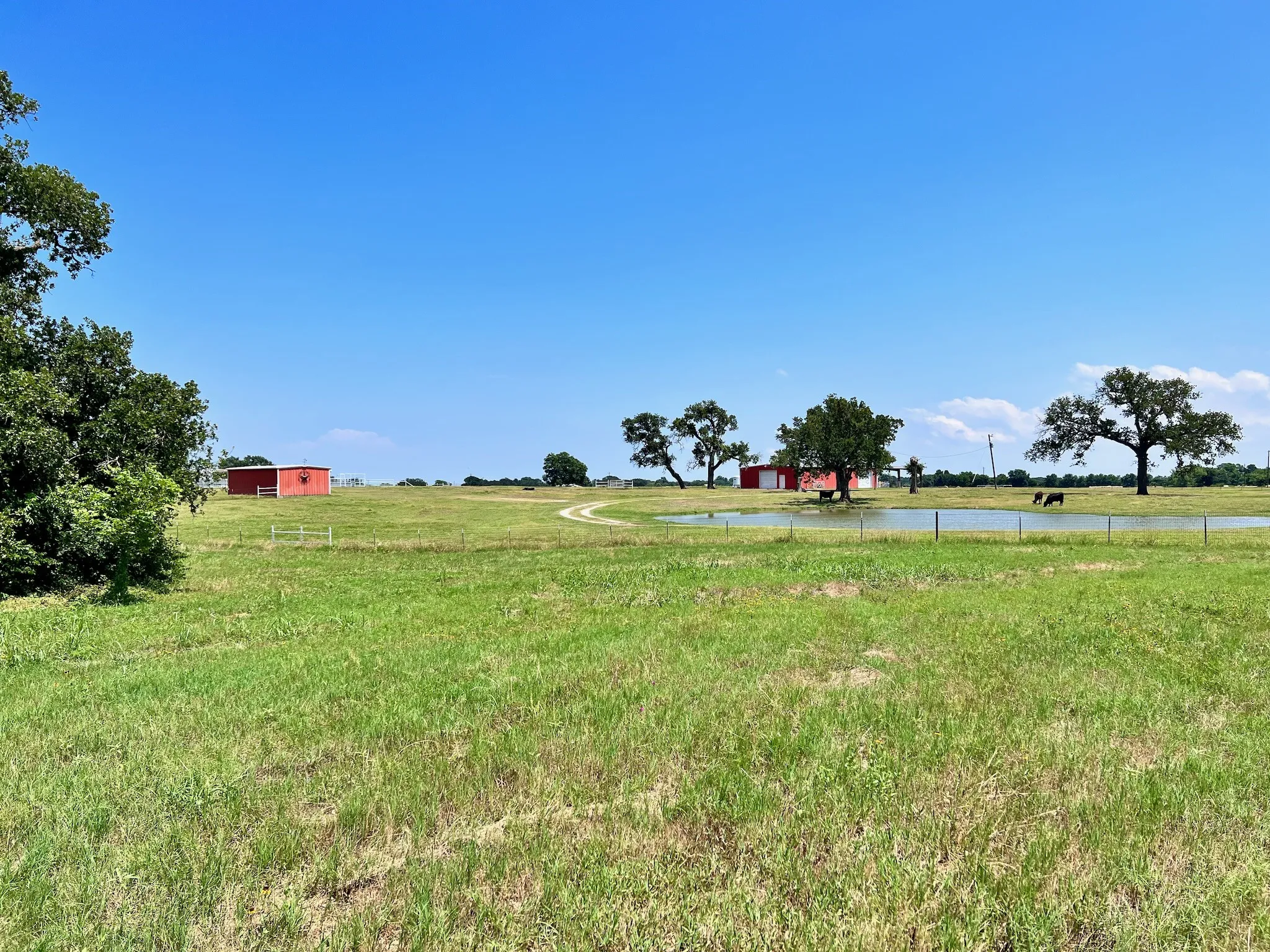 Unimproved Land For Sale in Navarro County , Lot 73 SE County Road 3150, Corsicana, Texas 75109, 0, 0, Garage spaces, 0 Sqft, built in 0, mls#21058571, Real Estate Agent in Corsicana, Homes For Sale in Navarro county, Homes For Sale in Corsicana, Realtor in Corsicana Texas, Real Estate Brokerage Independent Realty Texas, Luminita Cordes Realtor