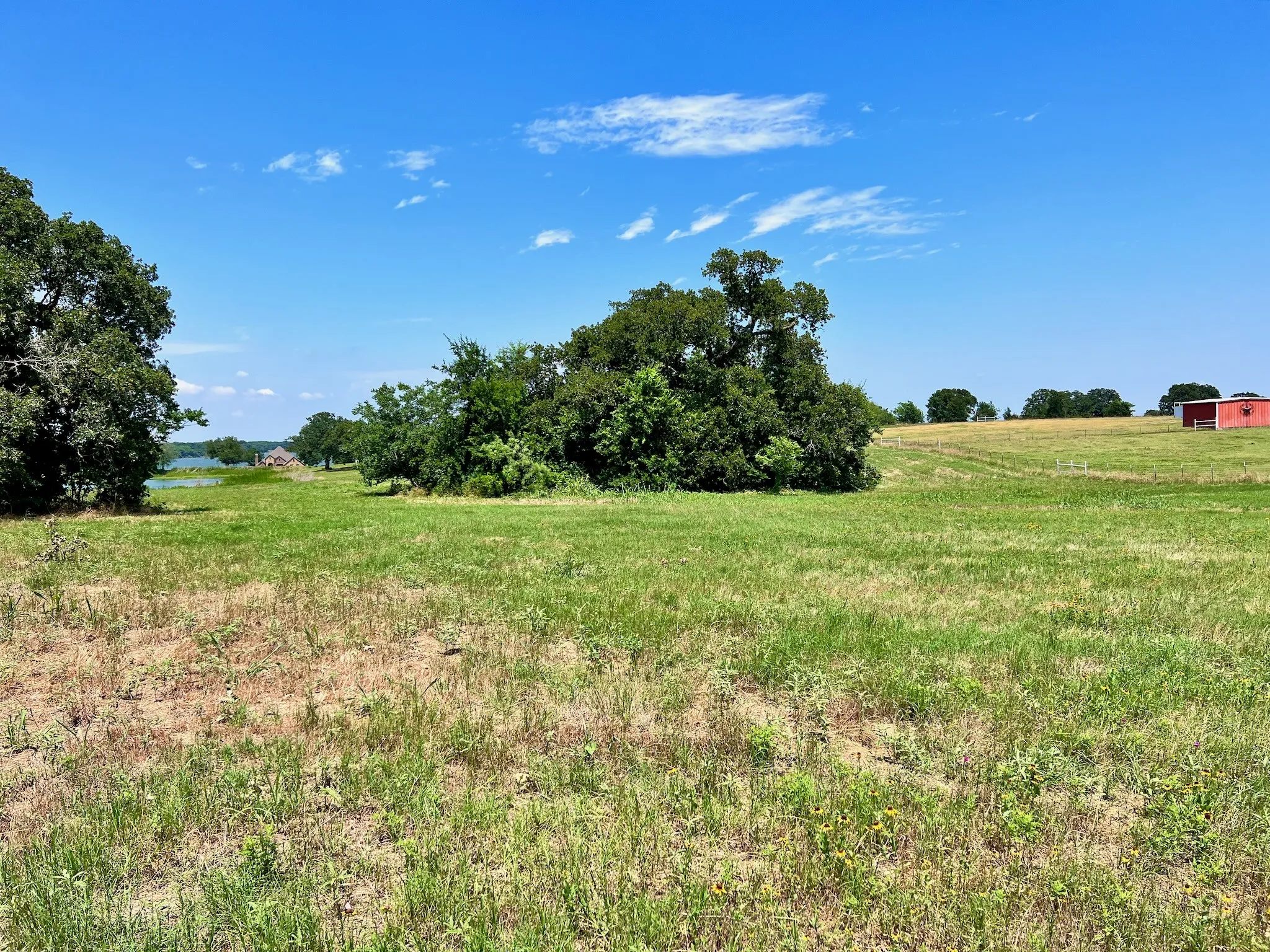 Unimproved Land For Sale in Navarro County , Lot 73 SE County Road 3150, Corsicana, Texas 75109, 0, 0, Garage spaces, 0 Sqft, built in 0, mls#21058571, Real Estate Agent in Corsicana, Homes For Sale in Navarro county, Homes For Sale in Corsicana, Realtor in Corsicana Texas, Real Estate Brokerage Independent Realty Texas, Luminita Cordes Realtor