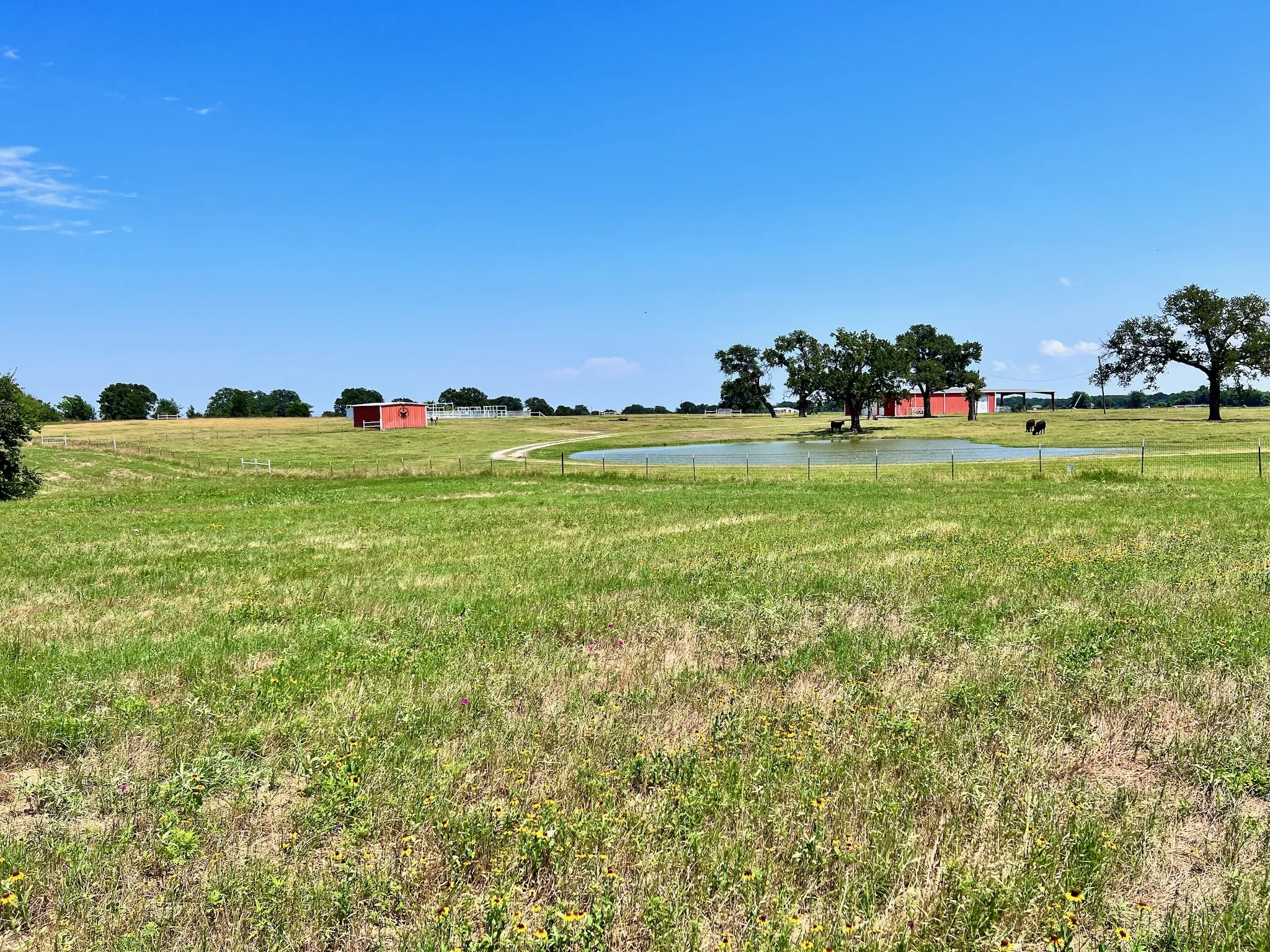 Unimproved Land For Sale in Navarro County , Lot 73 SE County Road 3150, Corsicana, Texas 75109, 0, 0, Garage spaces, 0 Sqft, built in 0, mls#21058571, Real Estate Agent in Corsicana, Homes For Sale in Navarro county, Homes For Sale in Corsicana, Realtor in Corsicana Texas, Real Estate Brokerage Independent Realty Texas, Luminita Cordes Realtor