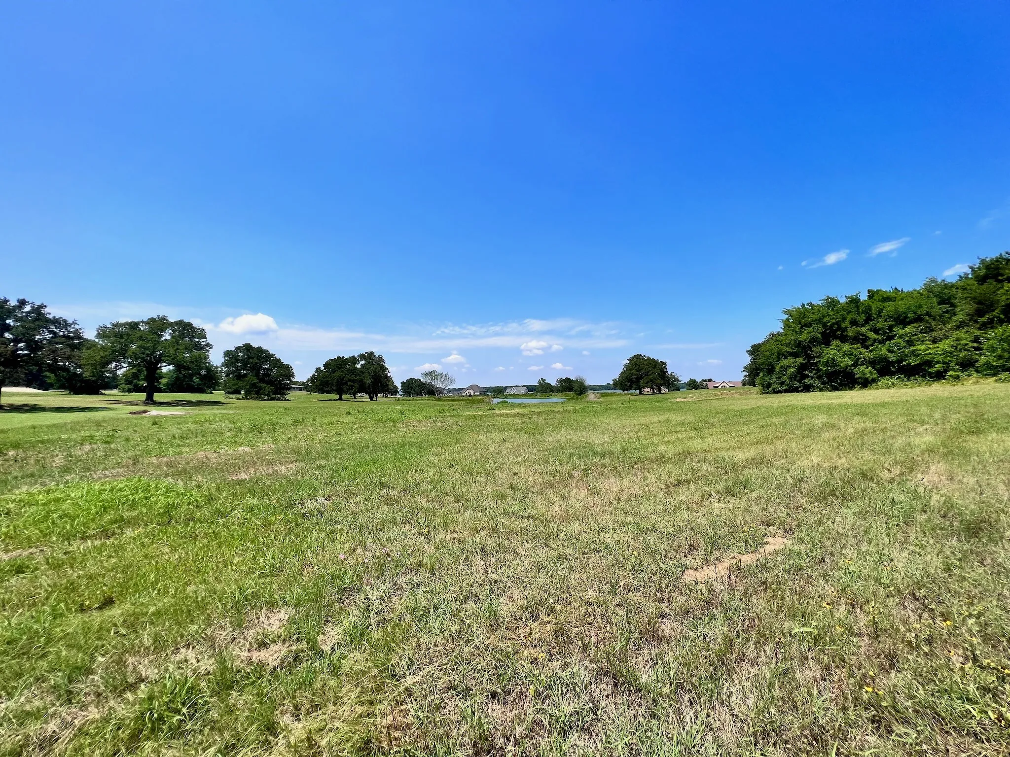 Unimproved Land For Sale in Navarro County , Lot 73 SE County Road 3150, Corsicana, Texas 75109, 0, 0, Garage spaces, 0 Sqft, built in 0, mls#21058571, Real Estate Agent in Corsicana, Homes For Sale in Navarro county, Homes For Sale in Corsicana, Realtor in Corsicana Texas, Real Estate Brokerage Independent Realty Texas, Luminita Cordes Realtor