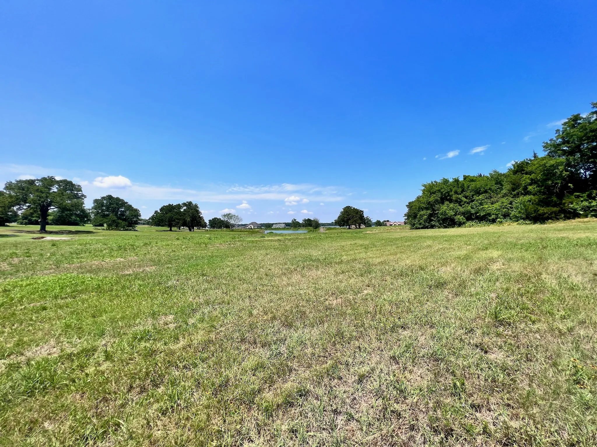 Unimproved Land For Sale in Navarro County , Lot 73 SE County Road 3150, Corsicana, Texas 75109, 0, 0, Garage spaces, 0 Sqft, built in 0, mls#21058571, Real Estate Agent in Corsicana, Homes For Sale in Navarro county, Homes For Sale in Corsicana, Realtor in Corsicana Texas, Real Estate Brokerage Independent Realty Texas, Luminita Cordes Realtor