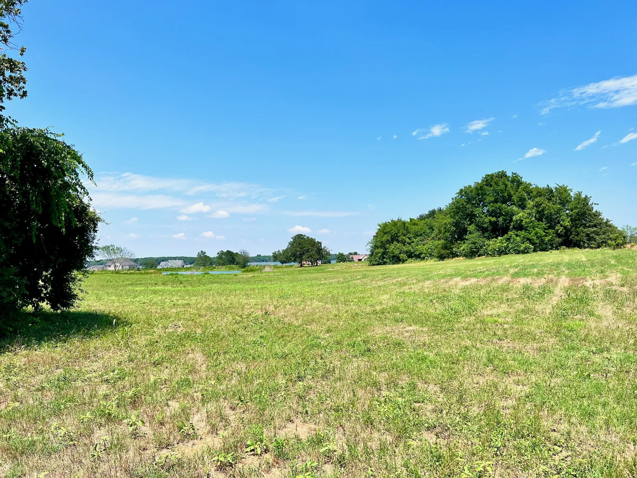 Unimproved Land For Sale in Navarro County , Lot 73 SE County Road 3150, Corsicana, Texas 75109, 0, 0, Garage spaces, 0 Sqft, built in 0, mls#21058571, Real Estate Agent in Corsicana, Homes For Sale in Navarro county, Homes For Sale in Corsicana, Realtor in Corsicana Texas, Real Estate Brokerage Independent Realty Texas, Luminita Cordes Realtor