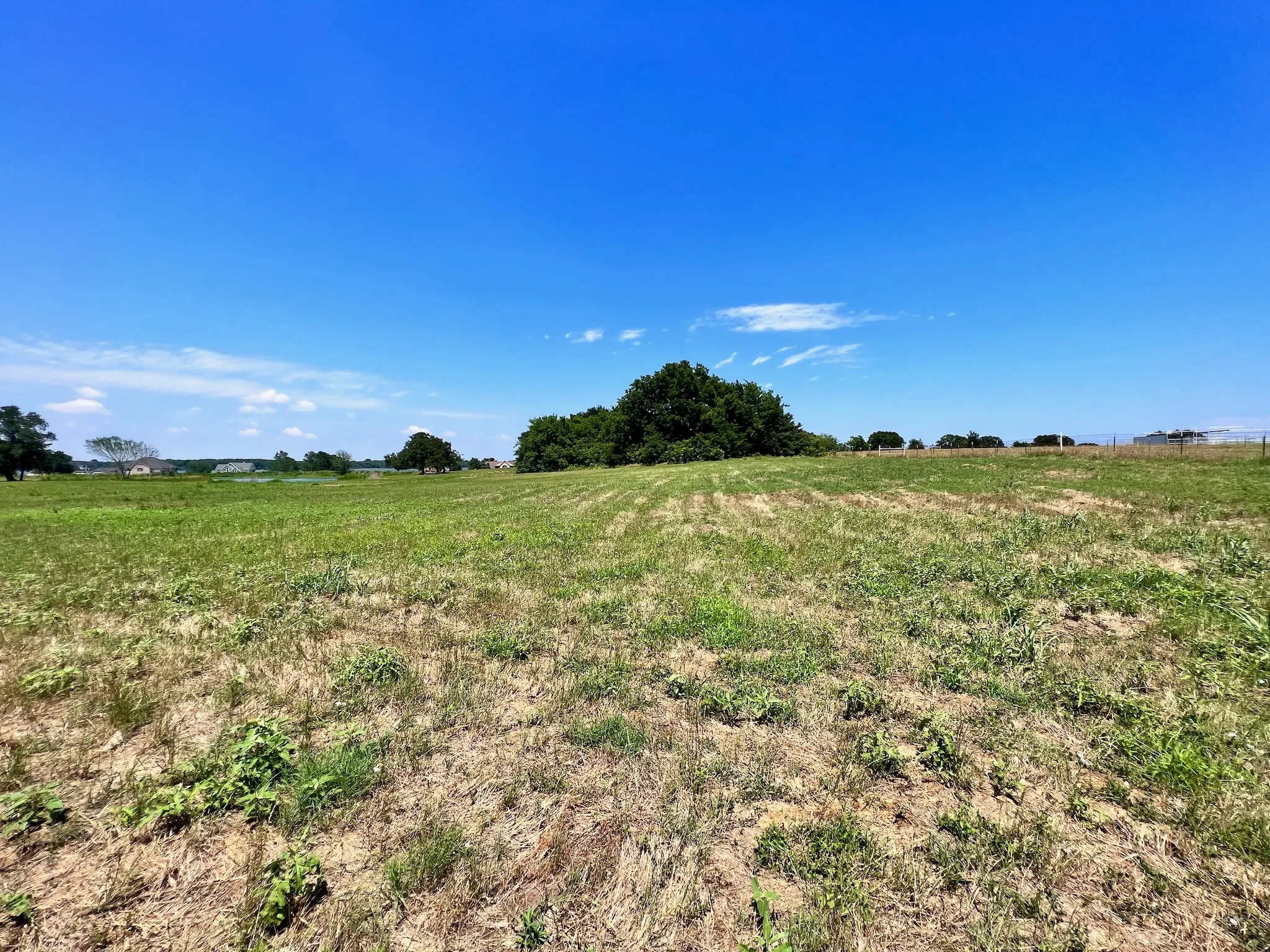 Unimproved Land For Sale in Navarro County , Lot 73 SE County Road 3150, Corsicana, Texas 75109, 0, 0, Garage spaces, 0 Sqft, built in 0, mls#21058571, Real Estate Agent in Corsicana, Homes For Sale in Navarro county, Homes For Sale in Corsicana, Realtor in Corsicana Texas, Real Estate Brokerage Independent Realty Texas, Luminita Cordes Realtor