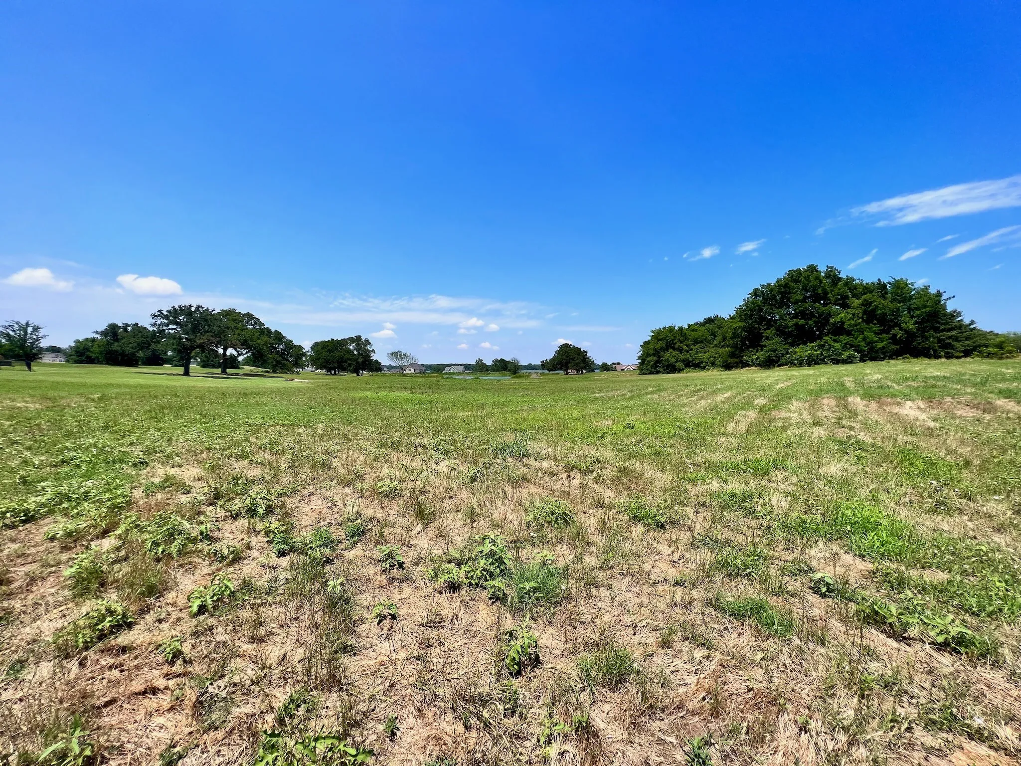 Unimproved Land For Sale in Navarro County , Lot 73 SE County Road 3150, Corsicana, Texas 75109, 0, 0, Garage spaces, 0 Sqft, built in 0, mls#21058571, Real Estate Agent in Corsicana, Homes For Sale in Navarro county, Homes For Sale in Corsicana, Realtor in Corsicana Texas, Real Estate Brokerage Independent Realty Texas, Luminita Cordes Realtor