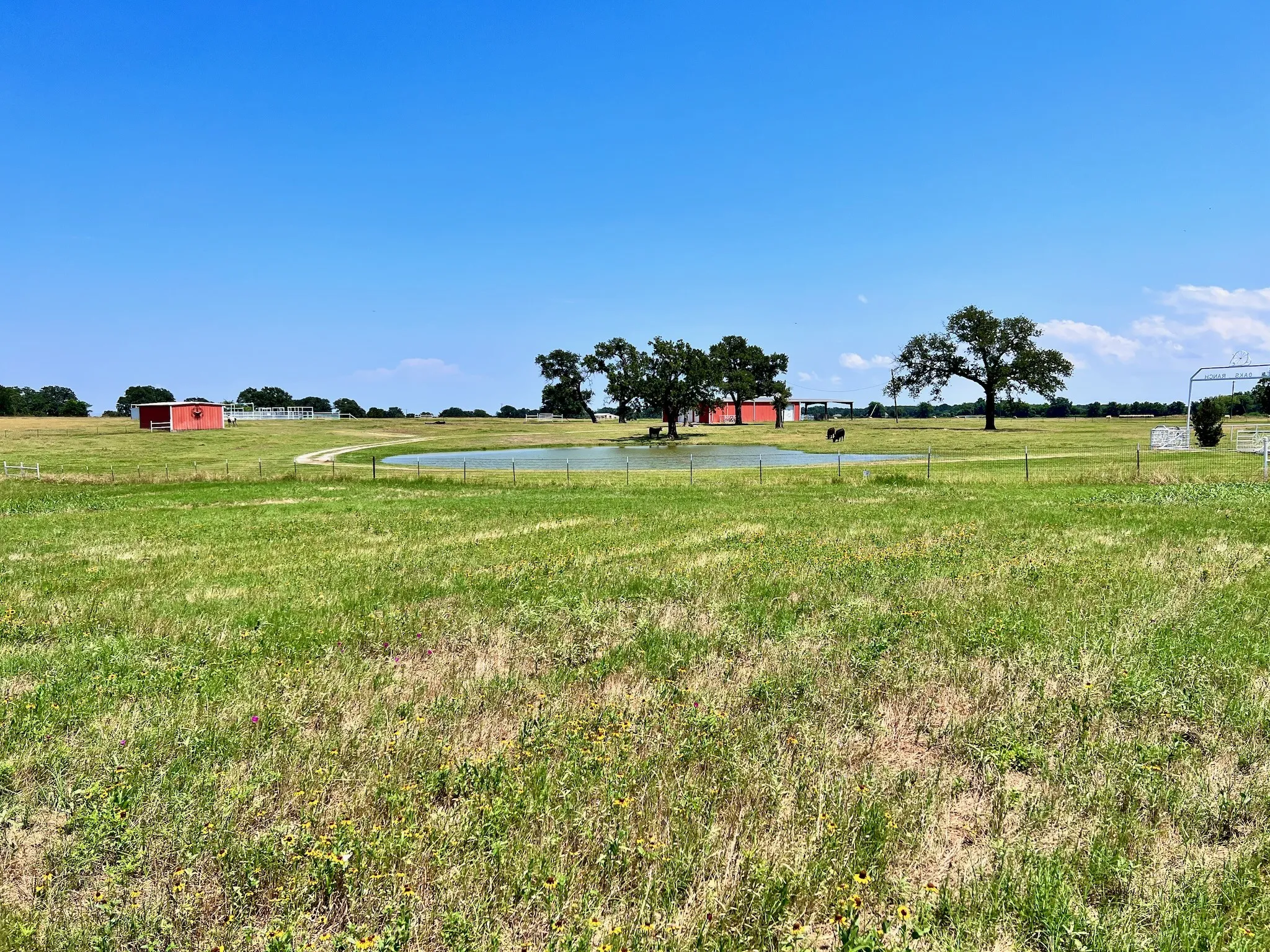 Unimproved Land For Sale in Navarro County , Lot 73 SE County Road 3150, Corsicana, Texas 75109, 0, 0, Garage spaces, 0 Sqft, built in 0, mls#21058571, Real Estate Agent in Corsicana, Homes For Sale in Navarro county, Homes For Sale in Corsicana, Realtor in Corsicana Texas, Real Estate Brokerage Independent Realty Texas, Luminita Cordes Realtor