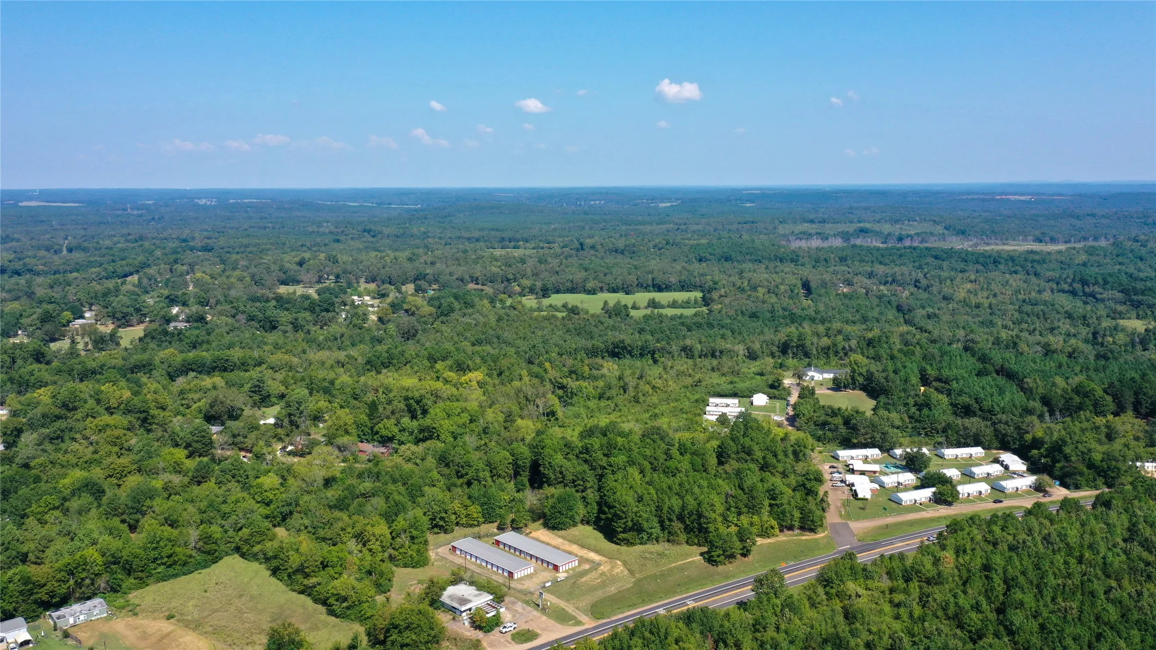 Aerial view of a forest