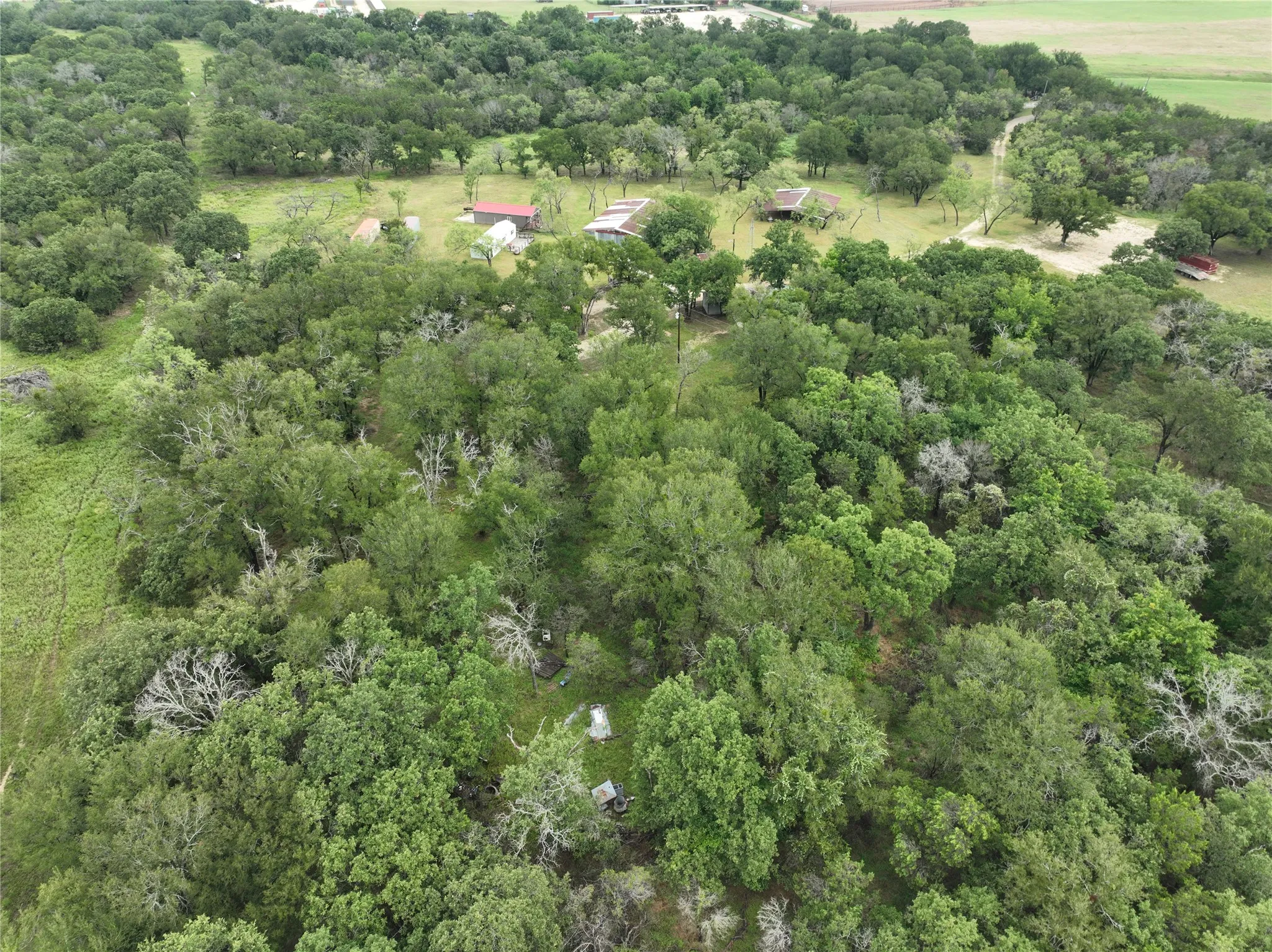 Improved Land For Sale in Bosque County , 3739 CR 2160, Iredell, Texas 76649, 0, 0, Garage spaces, 0 Sqft, built in 2015, mls#21062055, Real Estate Agent in Iredell, Homes For Sale in Bosque county, Homes For Sale in Iredell, Realtor in Iredell Texas, Real Estate Brokerage Independent Realty Texas, Luminita Cordes Realtor