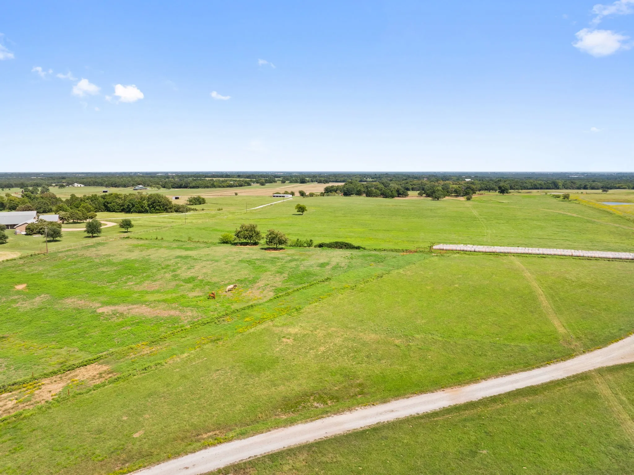 Aerial view of pastures