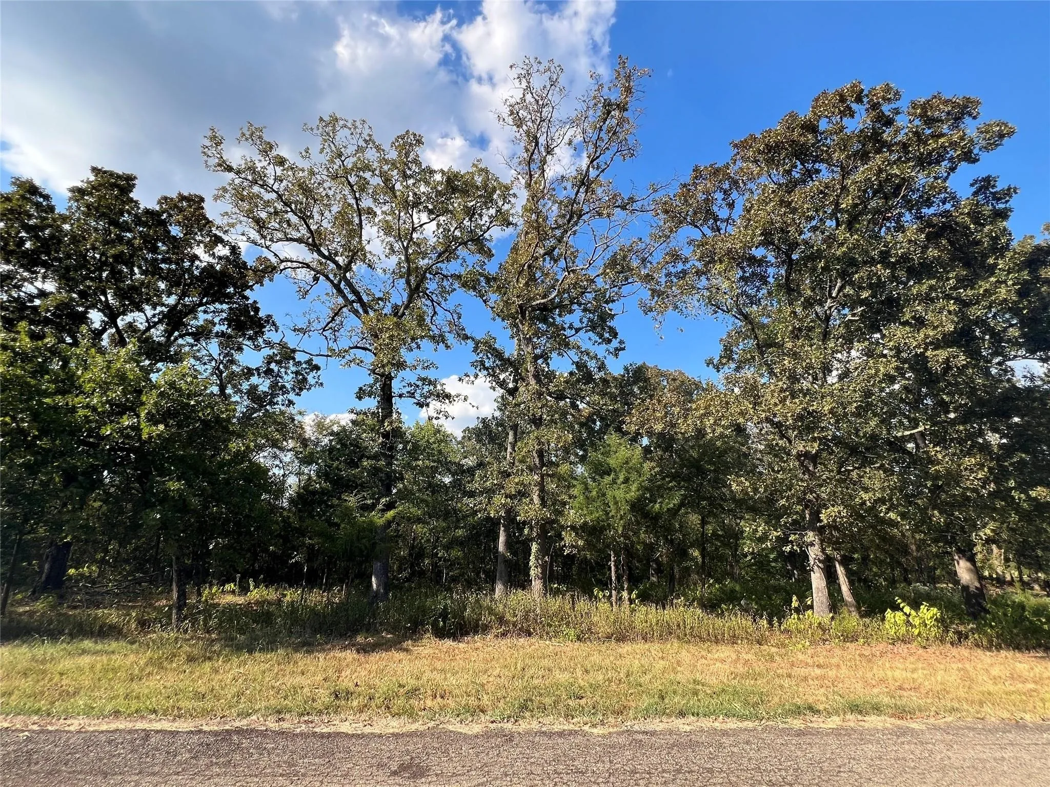 Unimproved Land For Sale in Hopkins County , Lot 37 Nicklaus Drive, Sulphur Springs, Texas 75482, 0, 0, Garage spaces, 0 Sqft, built in 0, mls#21057802, Real Estate Agent in Sulphur Springs, Homes For Sale in Hopkins county, Homes For Sale in Sulphur Springs, Realtor in Sulphur Springs Texas, Real Estate Brokerage Independent Realty Texas, Luminita Cordes Realtor