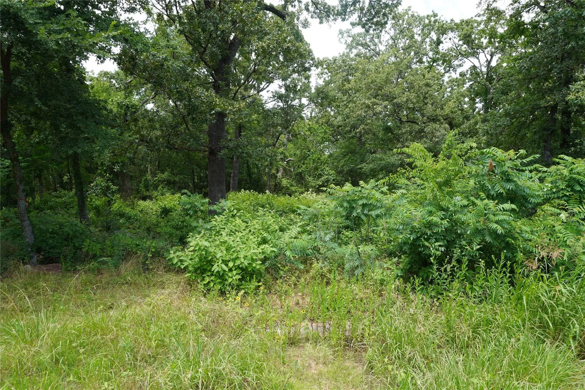 Unimproved Land For Sale in Hopkins County , Lot 37 Nicklaus Drive, Sulphur Springs, Texas 75482, 0, 0, Garage spaces, 0 Sqft, built in 0, mls#21057802, Real Estate Agent in Sulphur Springs, Homes For Sale in Hopkins county, Homes For Sale in Sulphur Springs, Realtor in Sulphur Springs Texas, Real Estate Brokerage Independent Realty Texas, Luminita Cordes Realtor
