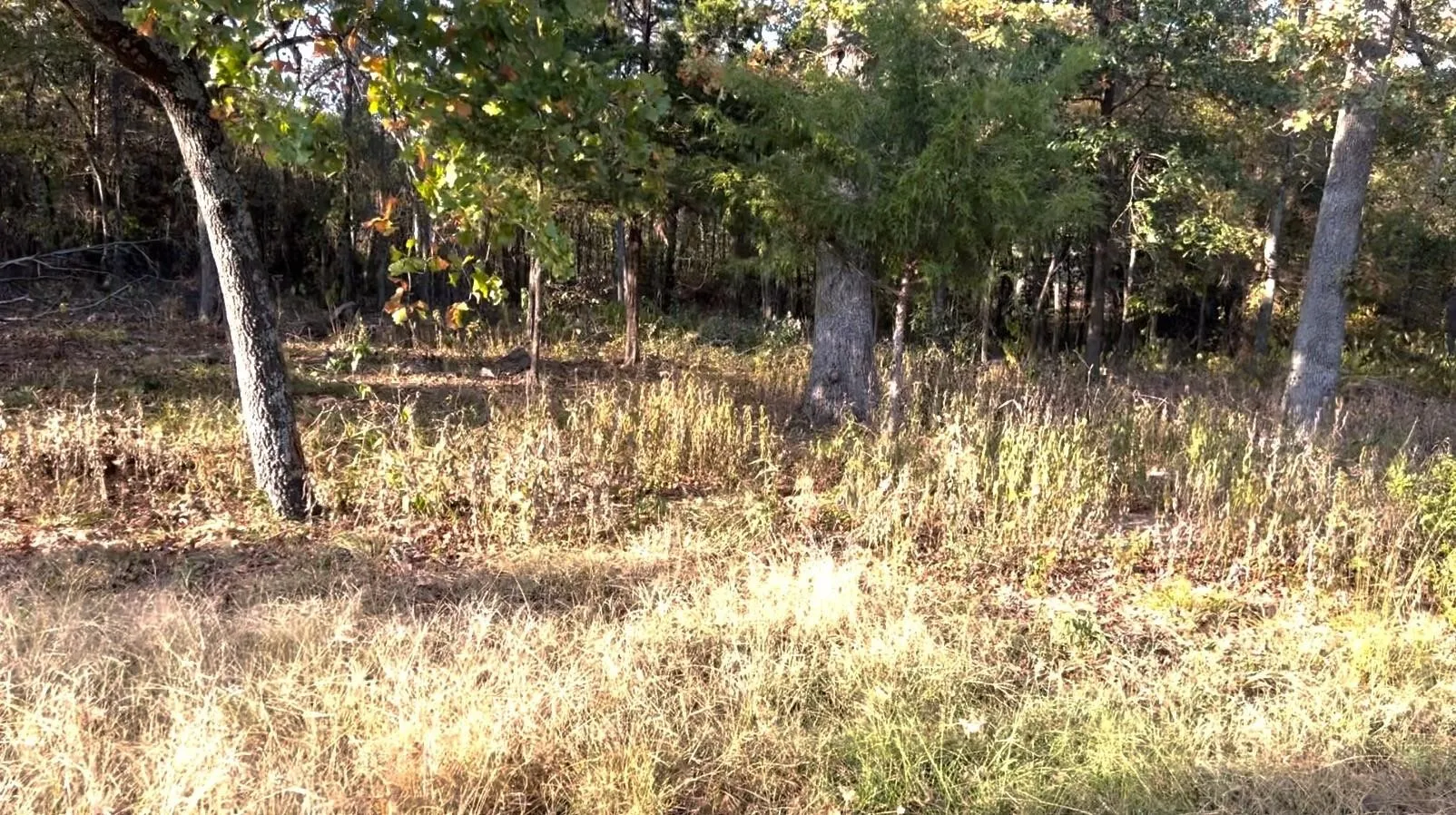 Unimproved Land For Sale in Hopkins County , Lot 37 Nicklaus Drive, Sulphur Springs, Texas 75482, 0, 0, Garage spaces, 0 Sqft, built in 0, mls#21057802, Real Estate Agent in Sulphur Springs, Homes For Sale in Hopkins county, Homes For Sale in Sulphur Springs, Realtor in Sulphur Springs Texas, Real Estate Brokerage Independent Realty Texas, Luminita Cordes Realtor