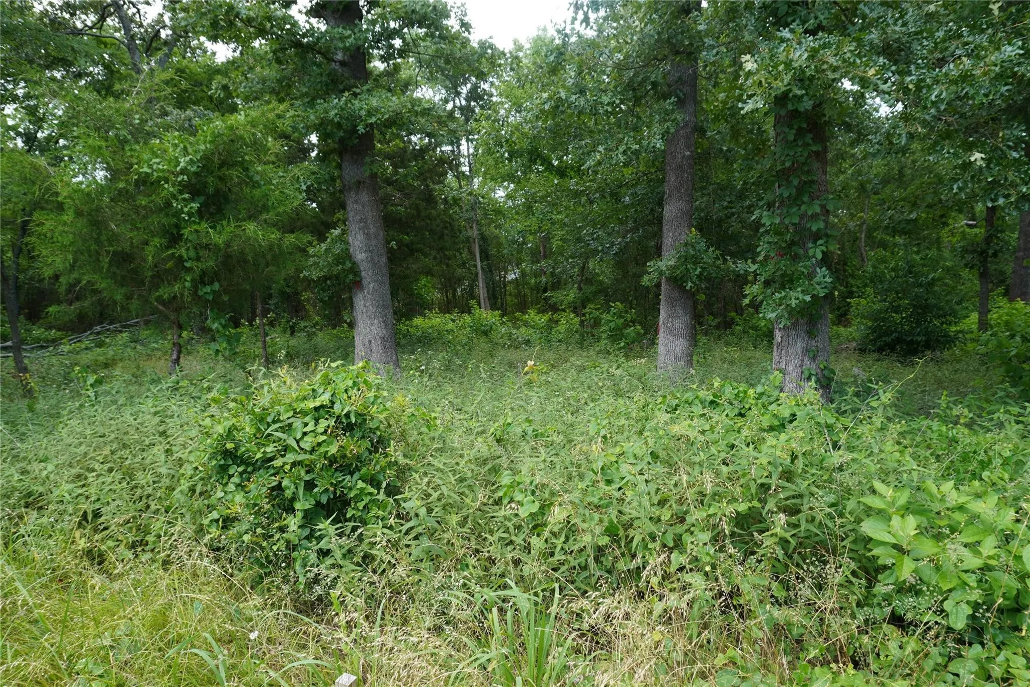 Unimproved Land For Sale in Hopkins County , Lot 37 Nicklaus Drive, Sulphur Springs, Texas 75482, 0, 0, Garage spaces, 0 Sqft, built in 0, mls#21057802, Real Estate Agent in Sulphur Springs, Homes For Sale in Hopkins county, Homes For Sale in Sulphur Springs, Realtor in Sulphur Springs Texas, Real Estate Brokerage Independent Realty Texas, Luminita Cordes Realtor