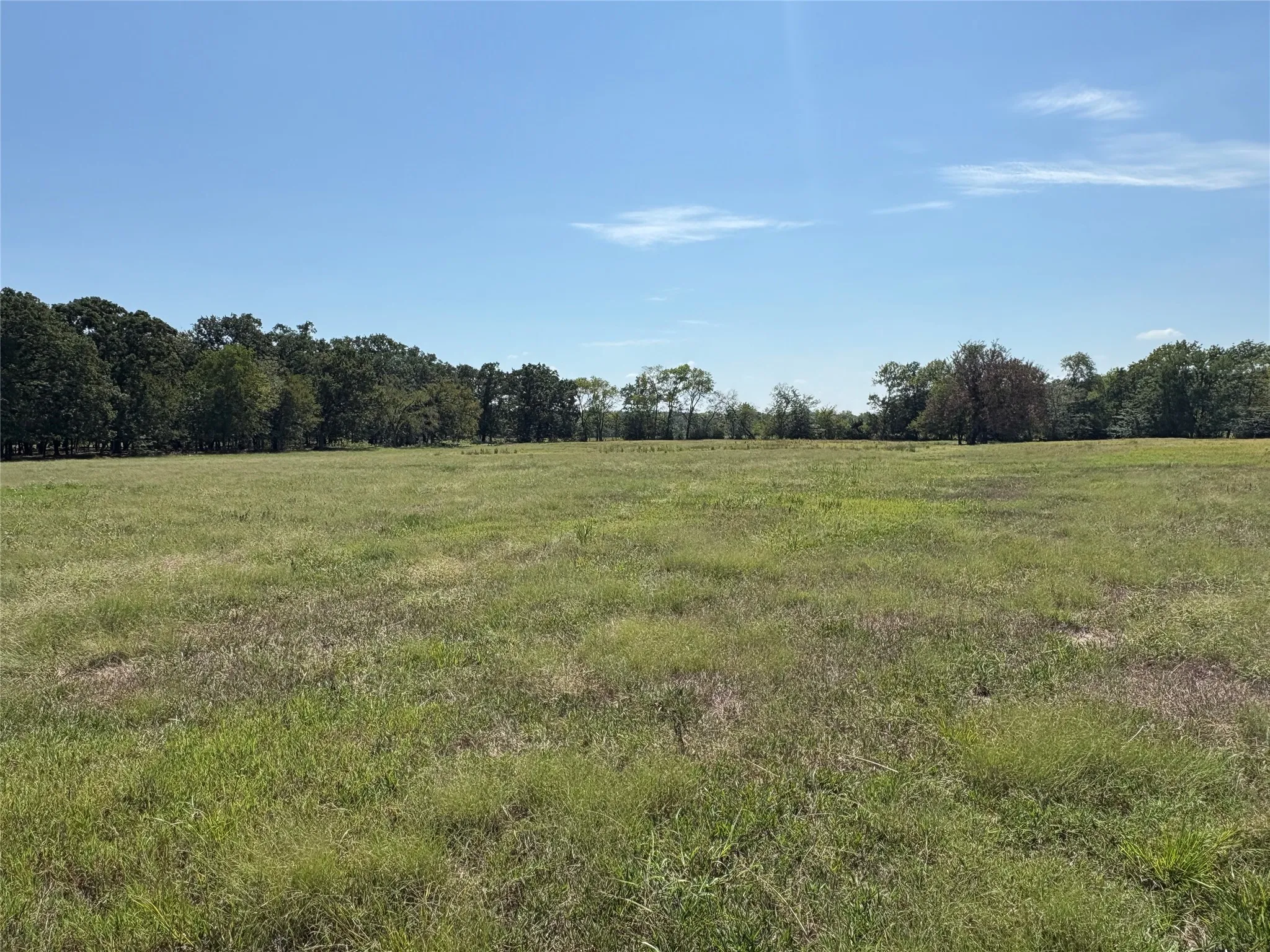 Improved Land For Sale in Hopkins County , TBD 1 County Road 1168 Tract 1, Brashear, Texas 75420, 0, 0, Garage spaces, 0 Sqft, built in 0, mls#21056192, Real Estate Agent in Brashear, Homes For Sale in Hopkins county, Homes For Sale in Brashear, Realtor in Brashear Texas, Real Estate Brokerage Independent Realty Texas, Luminita Cordes Realtor