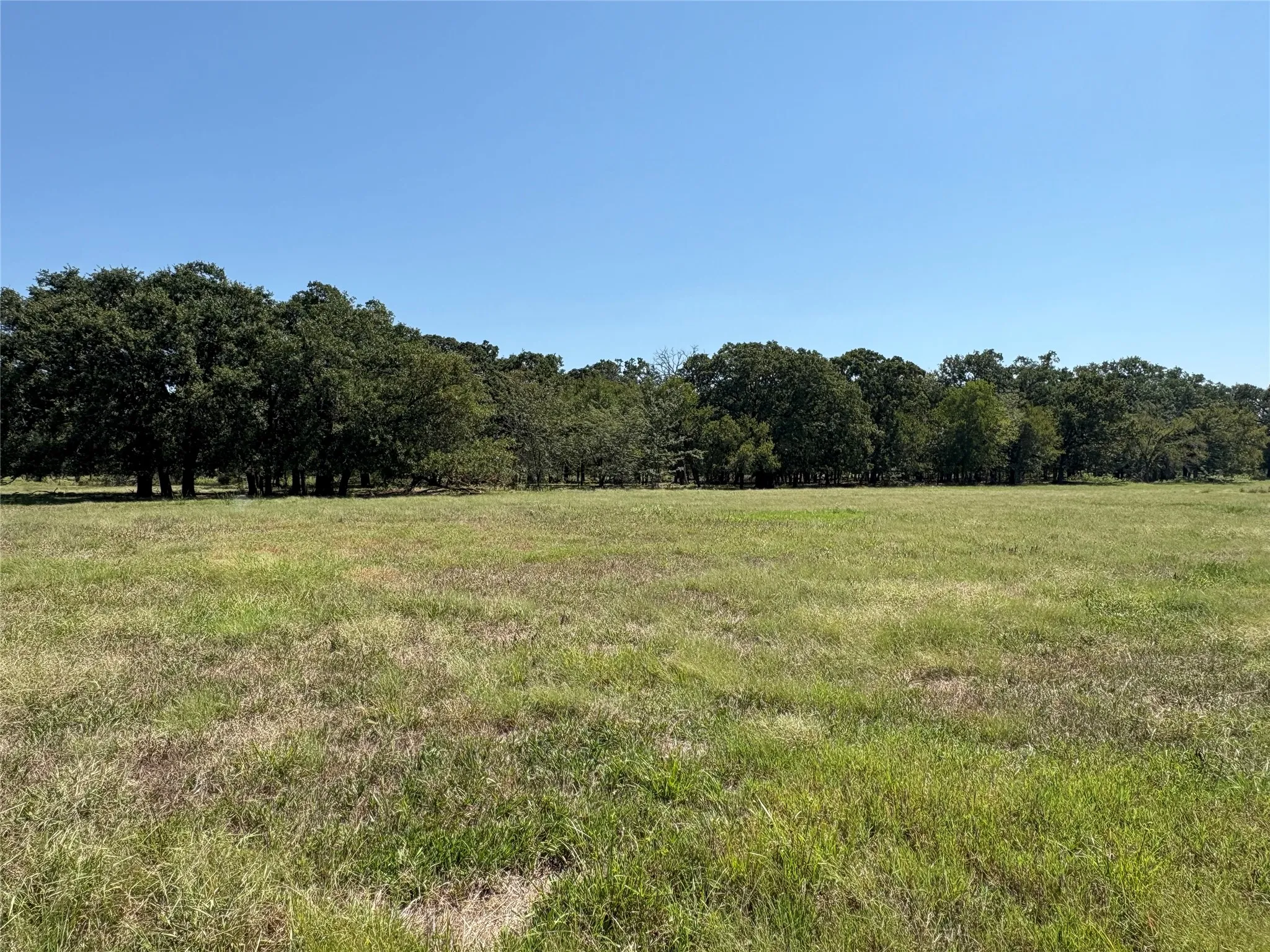 Improved Land For Sale in Hopkins County , TBD 1 County Road 1168 Tract 1, Brashear, Texas 75420, 0, 0, Garage spaces, 0 Sqft, built in 0, mls#21056192, Real Estate Agent in Brashear, Homes For Sale in Hopkins county, Homes For Sale in Brashear, Realtor in Brashear Texas, Real Estate Brokerage Independent Realty Texas, Luminita Cordes Realtor