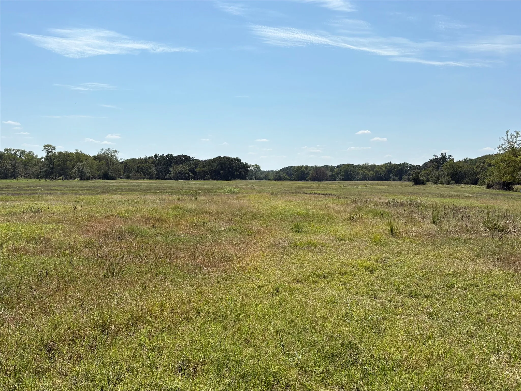 Improved Land For Sale in Hopkins County , TBD 1 County Road 1168 Tract 1, Brashear, Texas 75420, 0, 0, Garage spaces, 0 Sqft, built in 0, mls#21056192, Real Estate Agent in Brashear, Homes For Sale in Hopkins county, Homes For Sale in Brashear, Realtor in Brashear Texas, Real Estate Brokerage Independent Realty Texas, Luminita Cordes Realtor