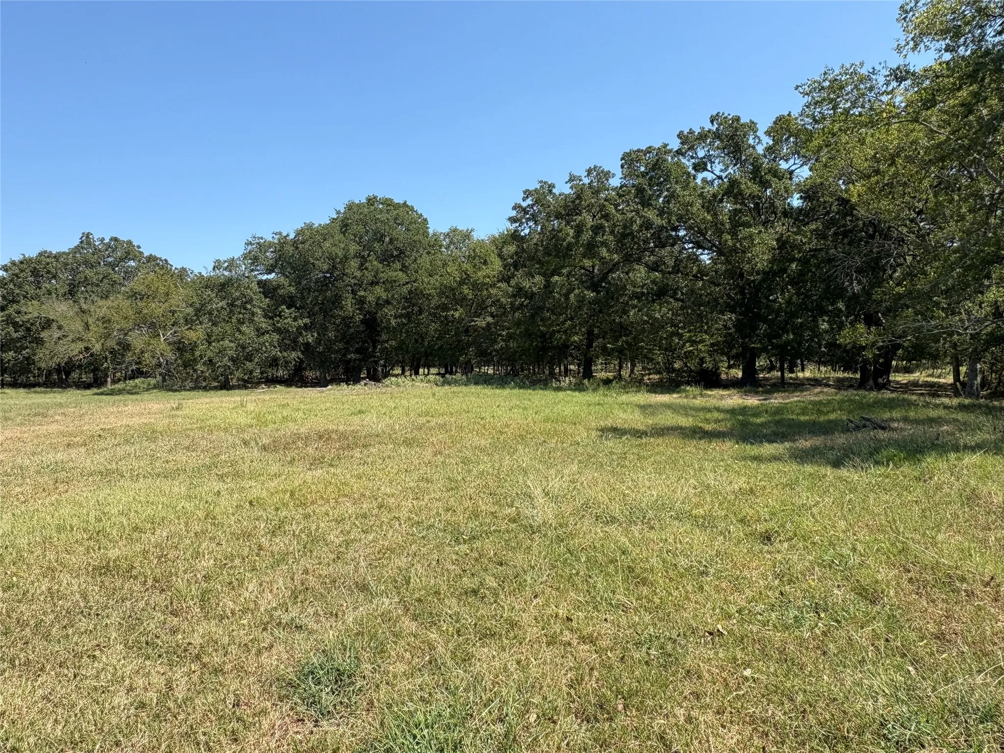 Improved Land For Sale in Hopkins County , TBD 1 County Road 1168 Tract 1, Brashear, Texas 75420, 0, 0, Garage spaces, 0 Sqft, built in 0, mls#21056192, Real Estate Agent in Brashear, Homes For Sale in Hopkins county, Homes For Sale in Brashear, Realtor in Brashear Texas, Real Estate Brokerage Independent Realty Texas, Luminita Cordes Realtor