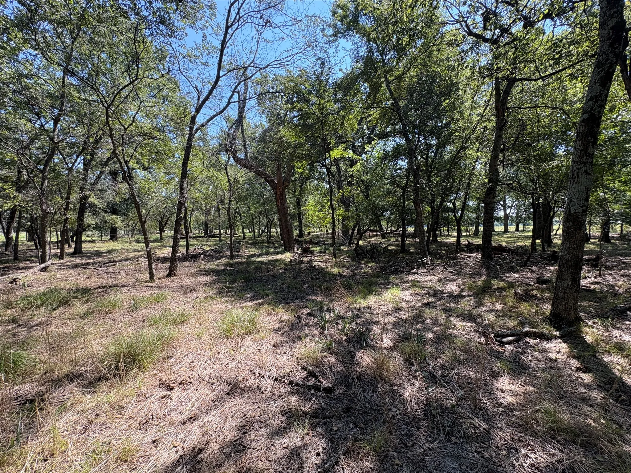 Improved Land For Sale in Hopkins County , TBD 1 County Road 1168 Tract 1, Brashear, Texas 75420, 0, 0, Garage spaces, 0 Sqft, built in 0, mls#21056192, Real Estate Agent in Brashear, Homes For Sale in Hopkins county, Homes For Sale in Brashear, Realtor in Brashear Texas, Real Estate Brokerage Independent Realty Texas, Luminita Cordes Realtor