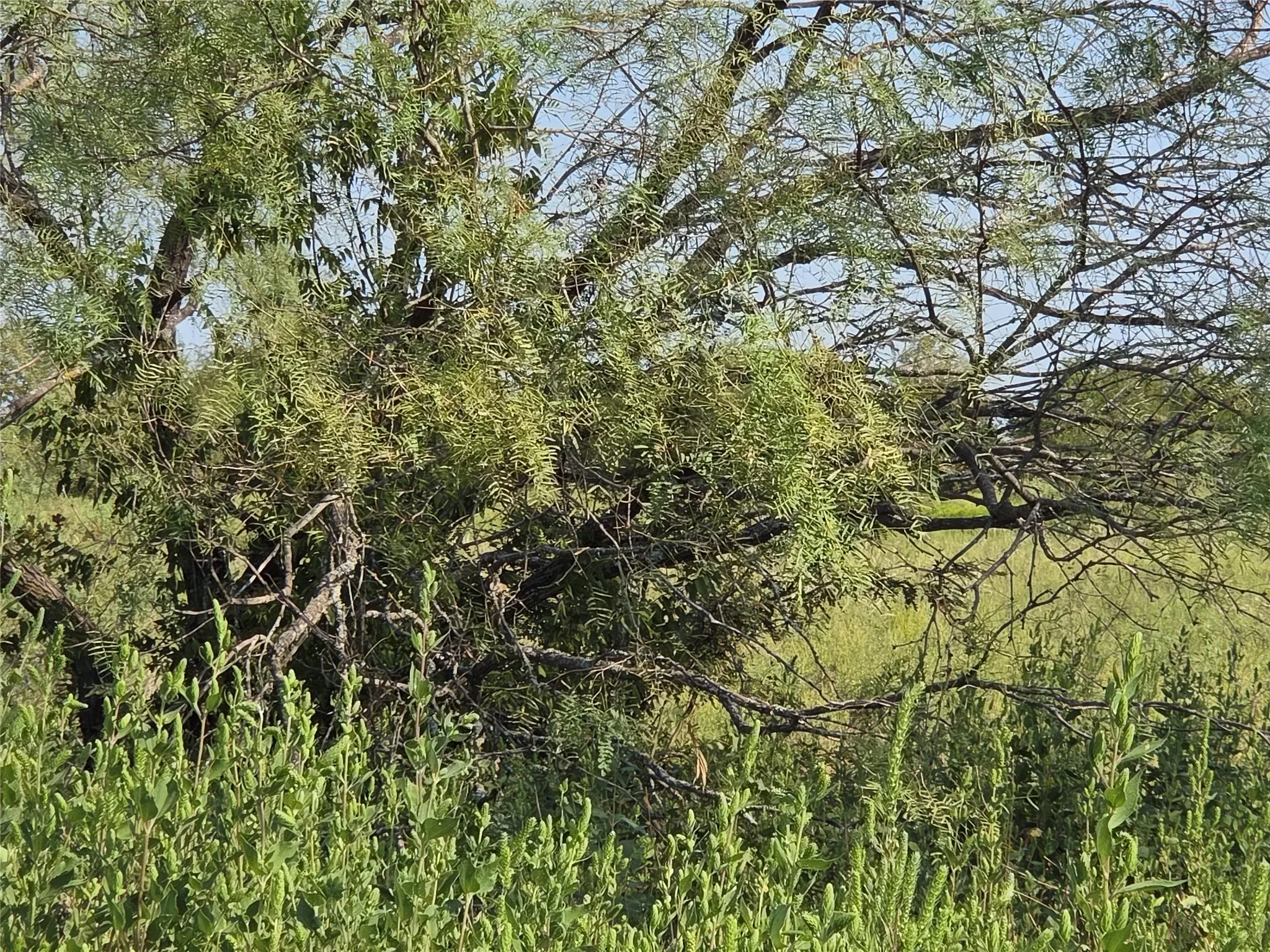 Unimproved Land For Sale in Navarro County , Lot 3 Old Peninsula Trail, Corsicana, Texas 75109, 0, 0, Garage spaces, 0 Sqft, built in 0, mls#21062196, Real Estate Agent in Corsicana, Homes For Sale in Navarro county, Homes For Sale in Corsicana, Realtor in Corsicana Texas, Real Estate Brokerage Independent Realty Texas, Luminita Cordes Realtor