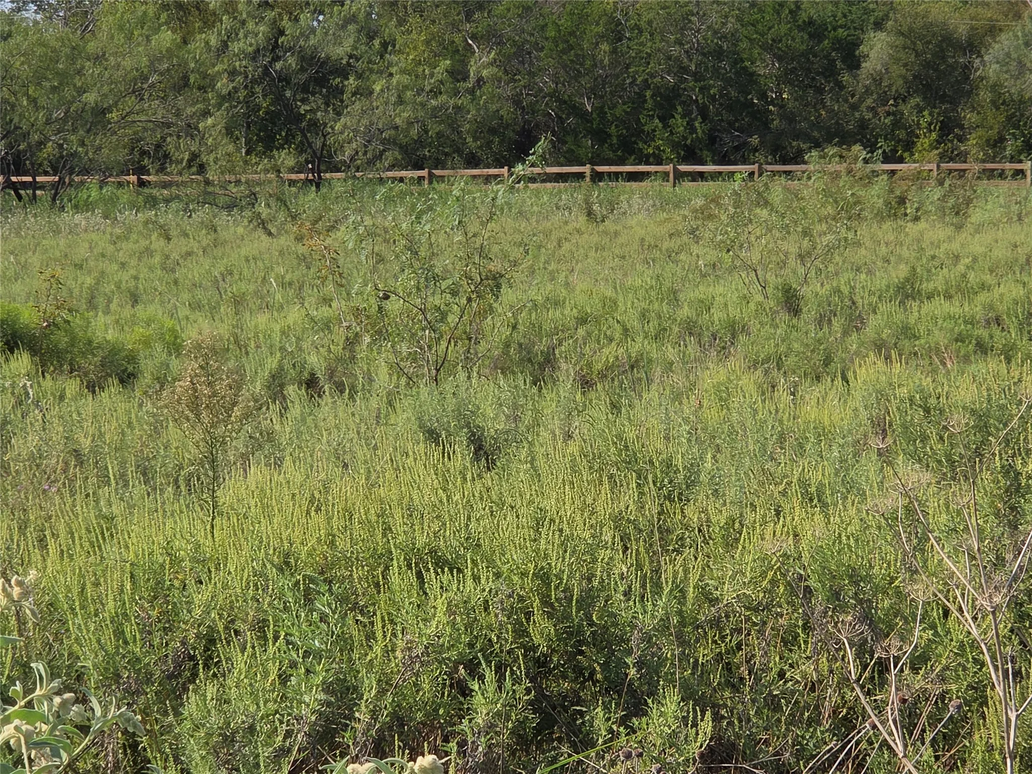 Unimproved Land For Sale in Navarro County , Lot 3 Old Peninsula Trail, Corsicana, Texas 75109, 0, 0, Garage spaces, 0 Sqft, built in 0, mls#21062196, Real Estate Agent in Corsicana, Homes For Sale in Navarro county, Homes For Sale in Corsicana, Realtor in Corsicana Texas, Real Estate Brokerage Independent Realty Texas, Luminita Cordes Realtor