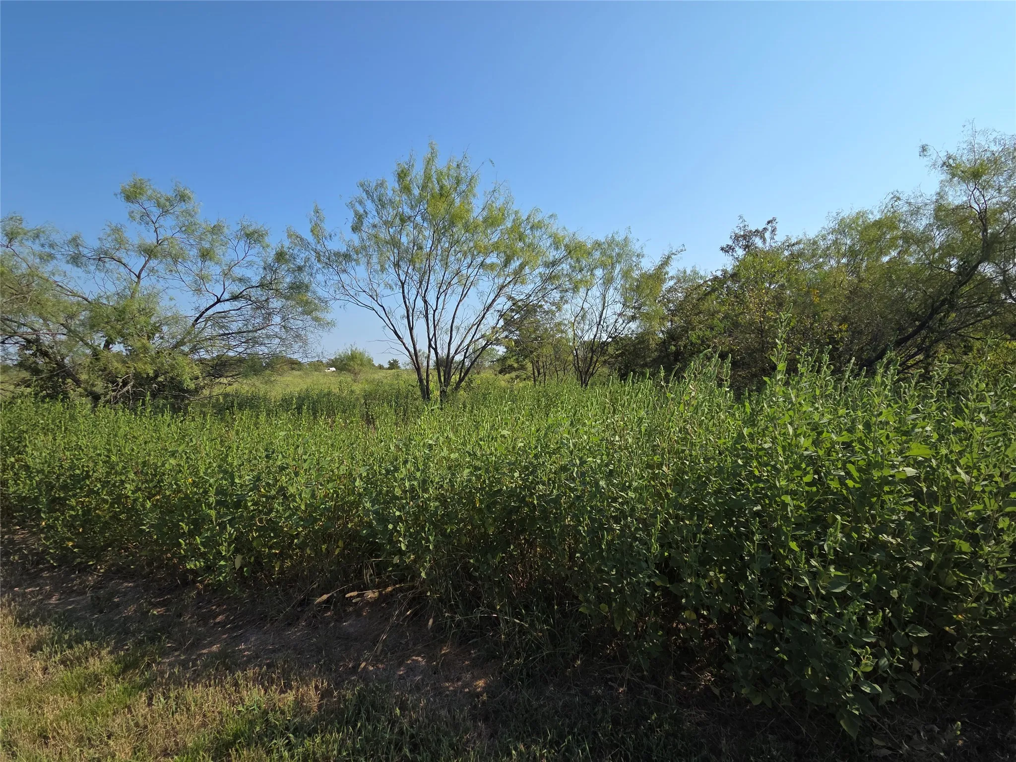 Unimproved Land For Sale in Navarro County , Lot 3 Old Peninsula Trail, Corsicana, Texas 75109, 0, 0, Garage spaces, 0 Sqft, built in 0, mls#21062196, Real Estate Agent in Corsicana, Homes For Sale in Navarro county, Homes For Sale in Corsicana, Realtor in Corsicana Texas, Real Estate Brokerage Independent Realty Texas, Luminita Cordes Realtor