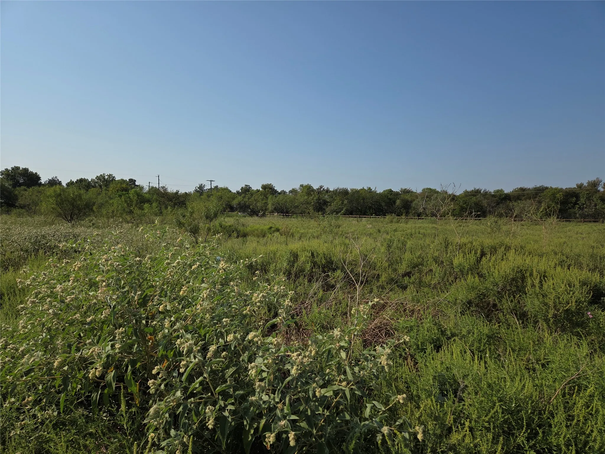 Unimproved Land For Sale in Navarro County , Lot 3 Old Peninsula Trail, Corsicana, Texas 75109, 0, 0, Garage spaces, 0 Sqft, built in 0, mls#21062196, Real Estate Agent in Corsicana, Homes For Sale in Navarro county, Homes For Sale in Corsicana, Realtor in Corsicana Texas, Real Estate Brokerage Independent Realty Texas, Luminita Cordes Realtor