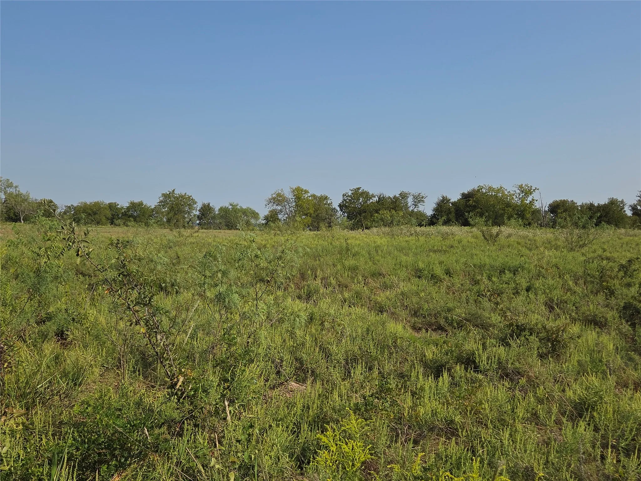 Unimproved Land For Sale in Navarro County , Lot 3 Old Peninsula Trail, Corsicana, Texas 75109, 0, 0, Garage spaces, 0 Sqft, built in 0, mls#21062196, Real Estate Agent in Corsicana, Homes For Sale in Navarro county, Homes For Sale in Corsicana, Realtor in Corsicana Texas, Real Estate Brokerage Independent Realty Texas, Luminita Cordes Realtor