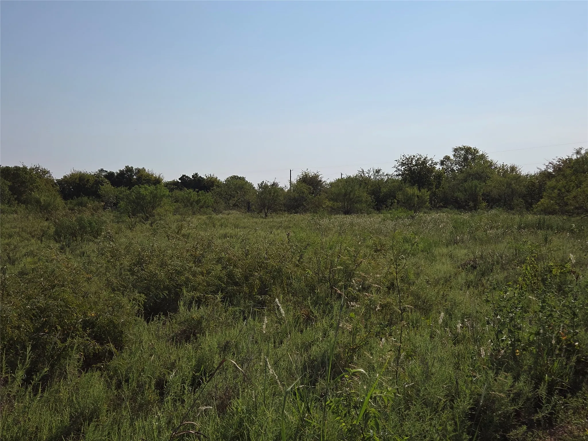 Unimproved Land For Sale in Navarro County , Lot 3 Old Peninsula Trail, Corsicana, Texas 75109, 0, 0, Garage spaces, 0 Sqft, built in 0, mls#21062196, Real Estate Agent in Corsicana, Homes For Sale in Navarro county, Homes For Sale in Corsicana, Realtor in Corsicana Texas, Real Estate Brokerage Independent Realty Texas, Luminita Cordes Realtor