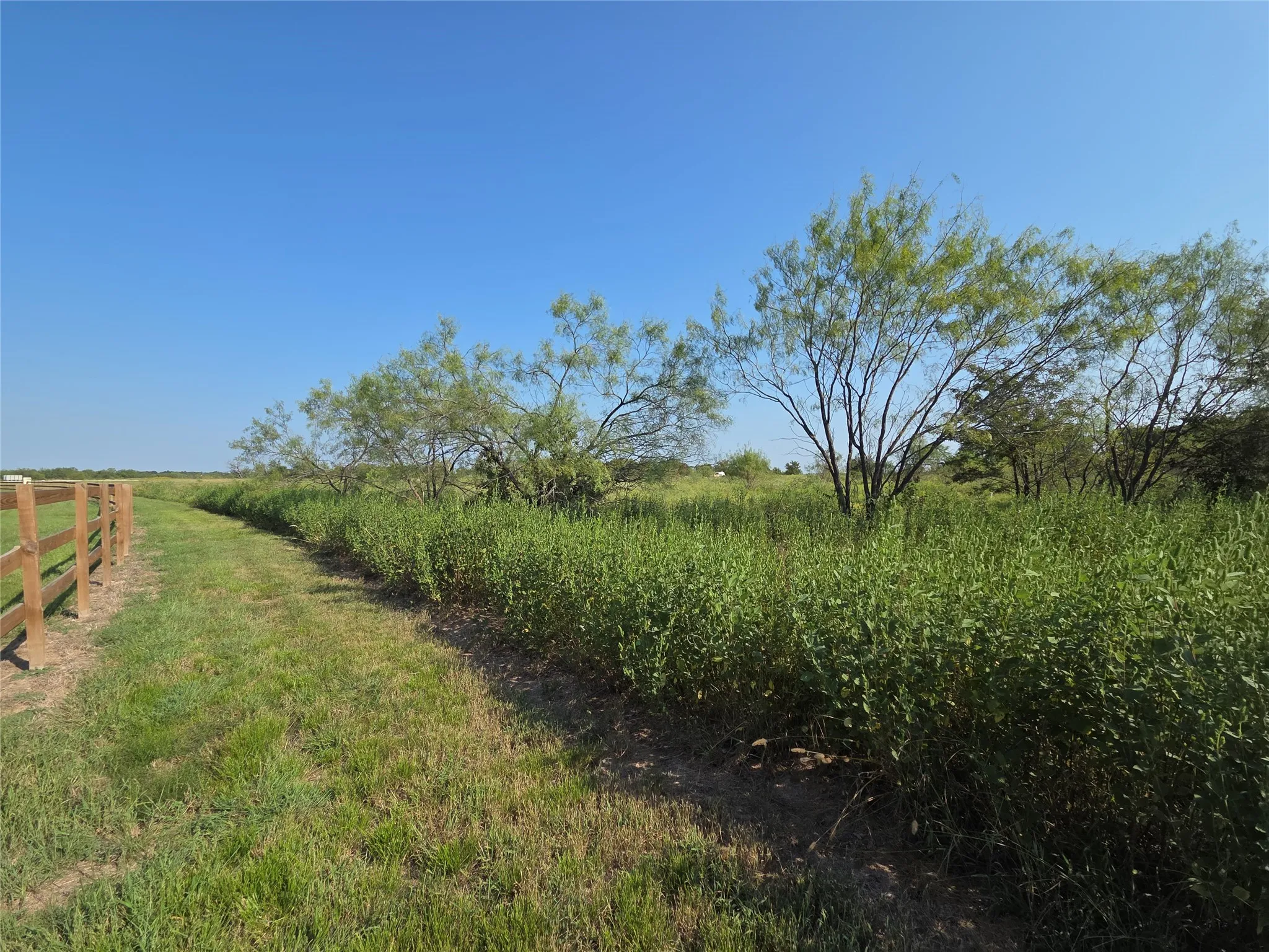 Unimproved Land For Sale in Navarro County , Lot 3 Old Peninsula Trail, Corsicana, Texas 75109, 0, 0, Garage spaces, 0 Sqft, built in 0, mls#21062196, Real Estate Agent in Corsicana, Homes For Sale in Navarro county, Homes For Sale in Corsicana, Realtor in Corsicana Texas, Real Estate Brokerage Independent Realty Texas, Luminita Cordes Realtor