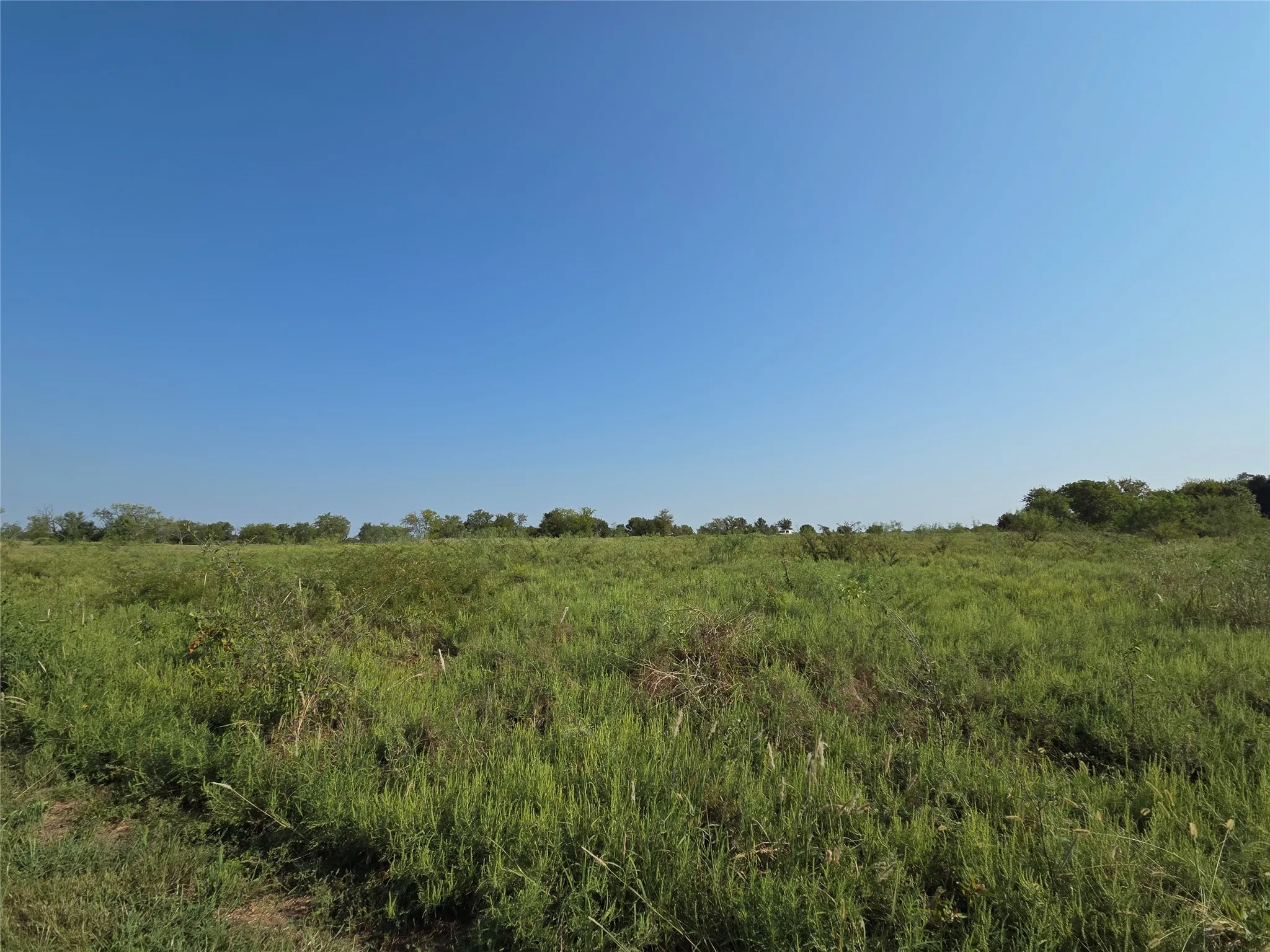 Unimproved Land For Sale in Navarro County , Lot 3 Old Peninsula Trail, Corsicana, Texas 75109, 0, 0, Garage spaces, 0 Sqft, built in 0, mls#21062196, Real Estate Agent in Corsicana, Homes For Sale in Navarro county, Homes For Sale in Corsicana, Realtor in Corsicana Texas, Real Estate Brokerage Independent Realty Texas, Luminita Cordes Realtor
