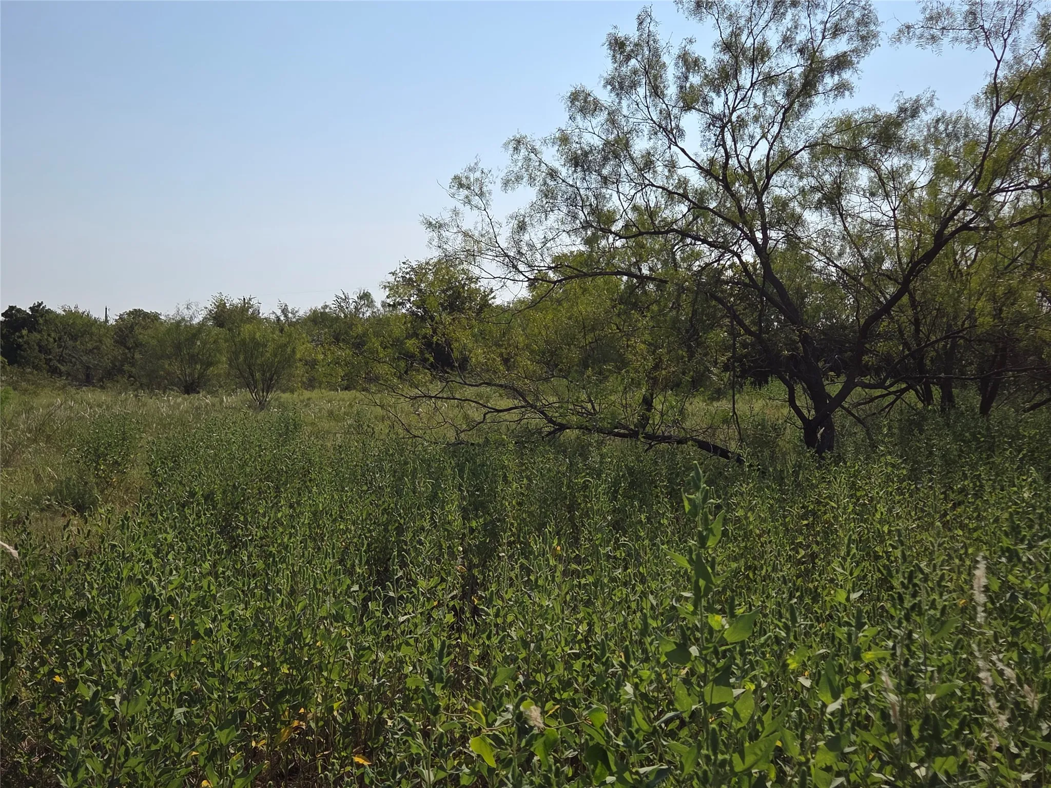 Unimproved Land For Sale in Navarro County , Lot 3 Old Peninsula Trail, Corsicana, Texas 75109, 0, 0, Garage spaces, 0 Sqft, built in 0, mls#21062196, Real Estate Agent in Corsicana, Homes For Sale in Navarro county, Homes For Sale in Corsicana, Realtor in Corsicana Texas, Real Estate Brokerage Independent Realty Texas, Luminita Cordes Realtor
