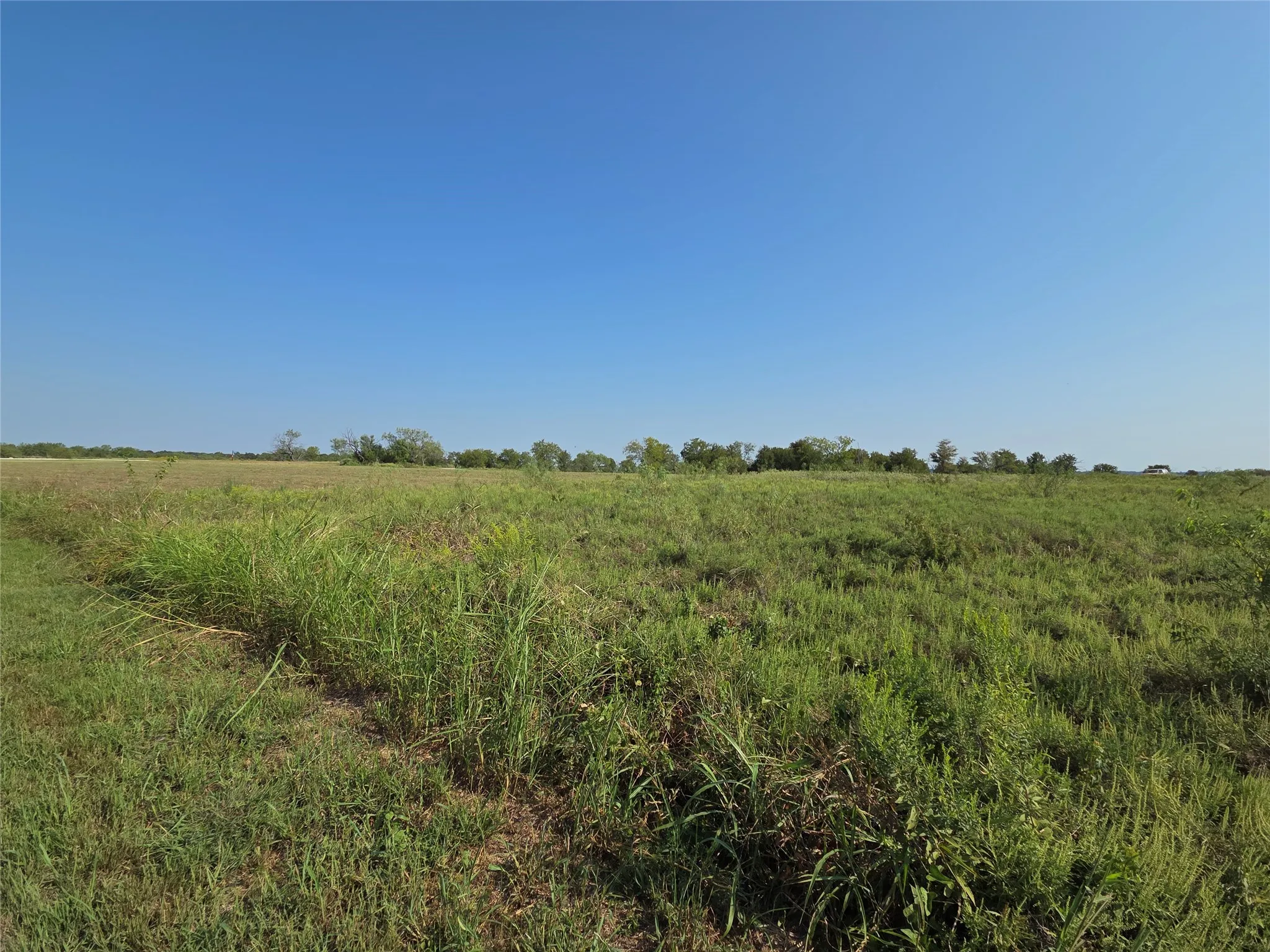 Unimproved Land For Sale in Navarro County , Lot 3 Old Peninsula Trail, Corsicana, Texas 75109, 0, 0, Garage spaces, 0 Sqft, built in 0, mls#21062196, Real Estate Agent in Corsicana, Homes For Sale in Navarro county, Homes For Sale in Corsicana, Realtor in Corsicana Texas, Real Estate Brokerage Independent Realty Texas, Luminita Cordes Realtor