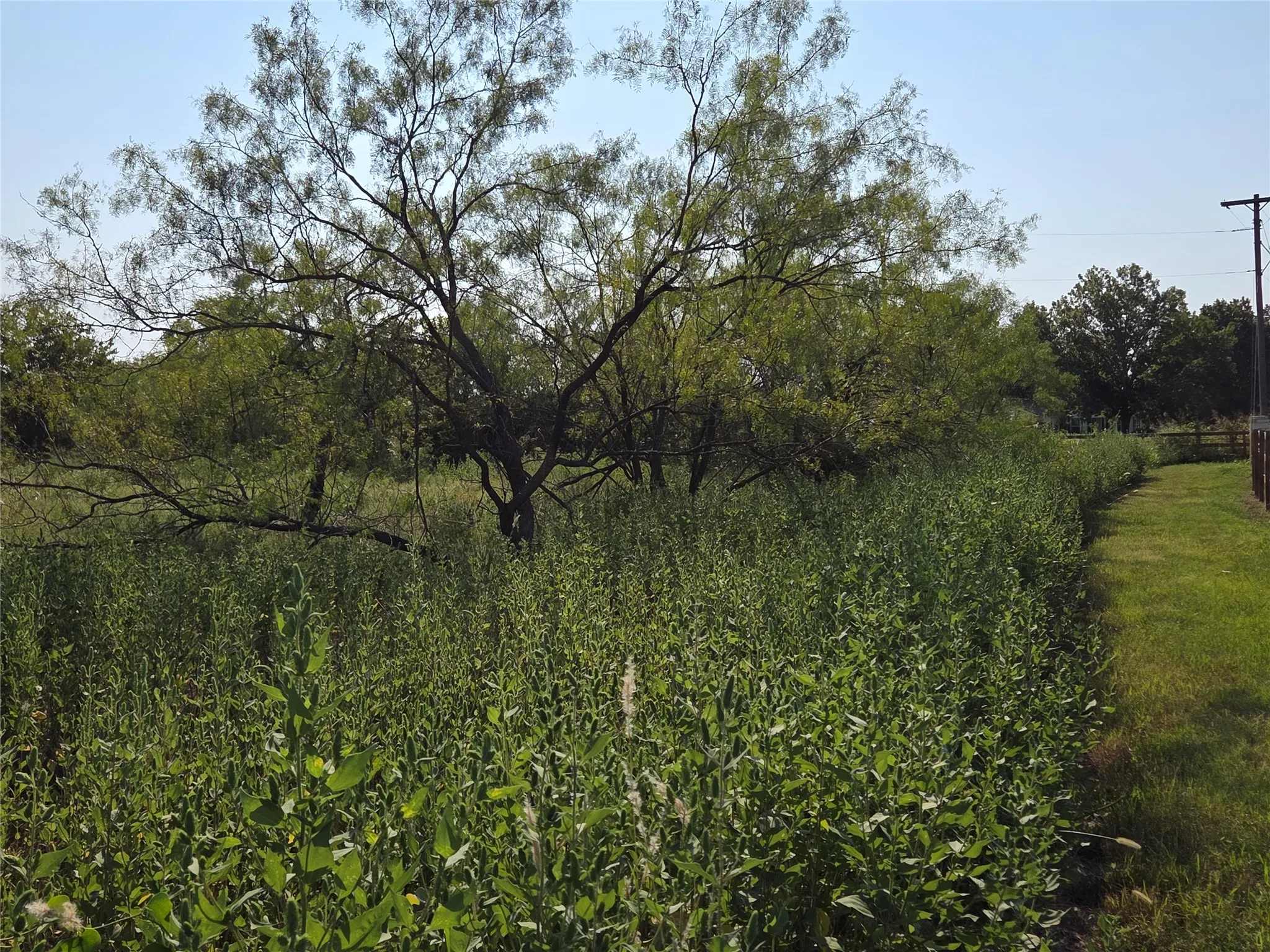 Unimproved Land For Sale in Navarro County , Lot 3 Old Peninsula Trail, Corsicana, Texas 75109, 0, 0, Garage spaces, 0 Sqft, built in 0, mls#21062196, Real Estate Agent in Corsicana, Homes For Sale in Navarro county, Homes For Sale in Corsicana, Realtor in Corsicana Texas, Real Estate Brokerage Independent Realty Texas, Luminita Cordes Realtor