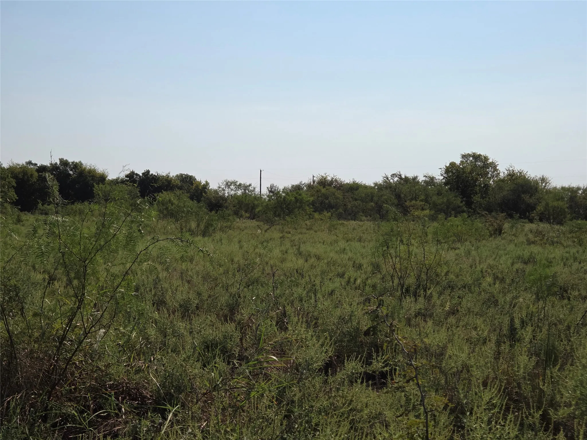 Unimproved Land For Sale in Navarro County , Lot 3 Old Peninsula Trail, Corsicana, Texas 75109, 0, 0, Garage spaces, 0 Sqft, built in 0, mls#21062196, Real Estate Agent in Corsicana, Homes For Sale in Navarro county, Homes For Sale in Corsicana, Realtor in Corsicana Texas, Real Estate Brokerage Independent Realty Texas, Luminita Cordes Realtor
