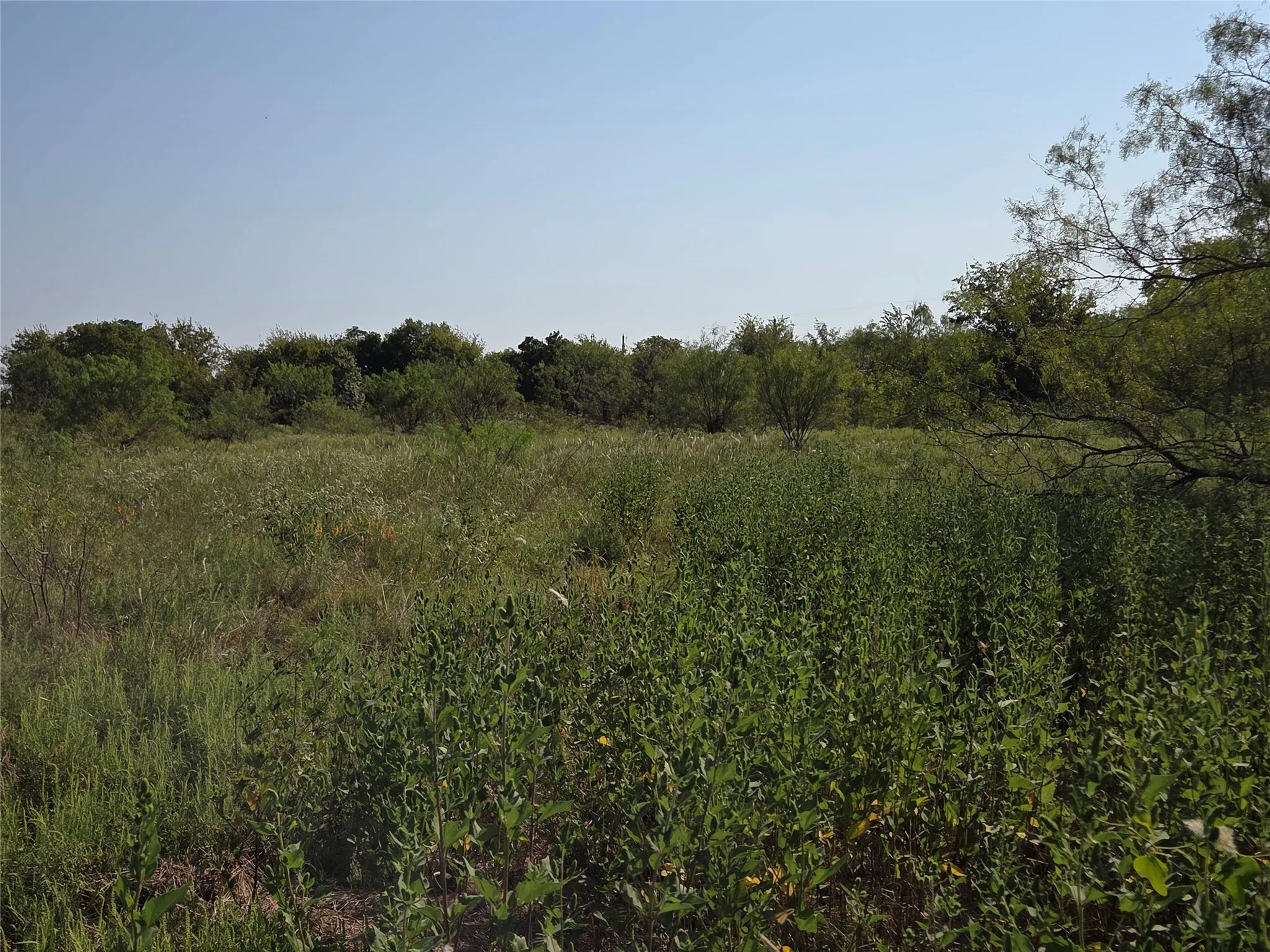 Unimproved Land For Sale in Navarro County , Lot 3 Old Peninsula Trail, Corsicana, Texas 75109, 0, 0, Garage spaces, 0 Sqft, built in 0, mls#21062196, Real Estate Agent in Corsicana, Homes For Sale in Navarro county, Homes For Sale in Corsicana, Realtor in Corsicana Texas, Real Estate Brokerage Independent Realty Texas, Luminita Cordes Realtor