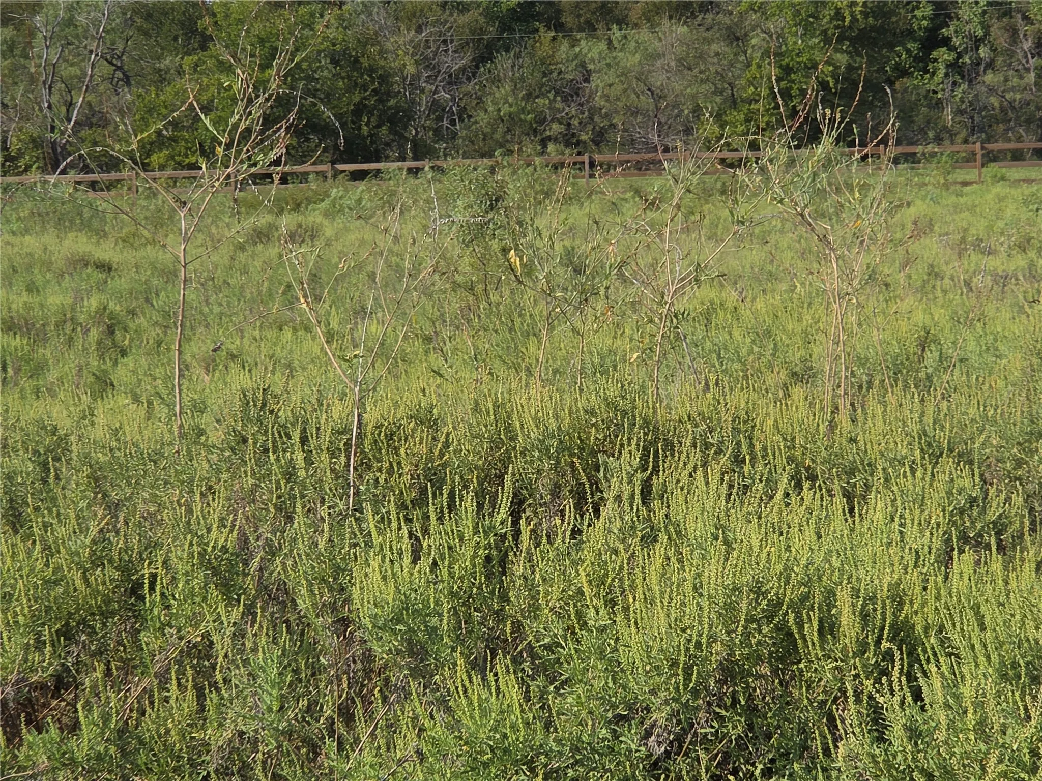 Unimproved Land For Sale in Navarro County , Lot 3 Old Peninsula Trail, Corsicana, Texas 75109, 0, 0, Garage spaces, 0 Sqft, built in 0, mls#21062196, Real Estate Agent in Corsicana, Homes For Sale in Navarro county, Homes For Sale in Corsicana, Realtor in Corsicana Texas, Real Estate Brokerage Independent Realty Texas, Luminita Cordes Realtor