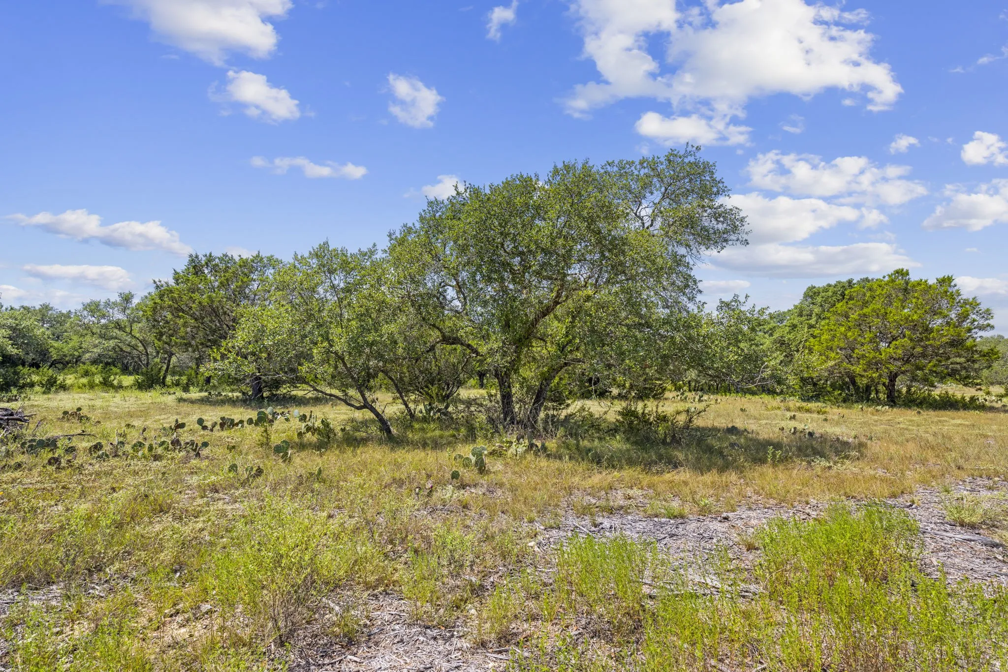 View of local wilderness with rural landscape