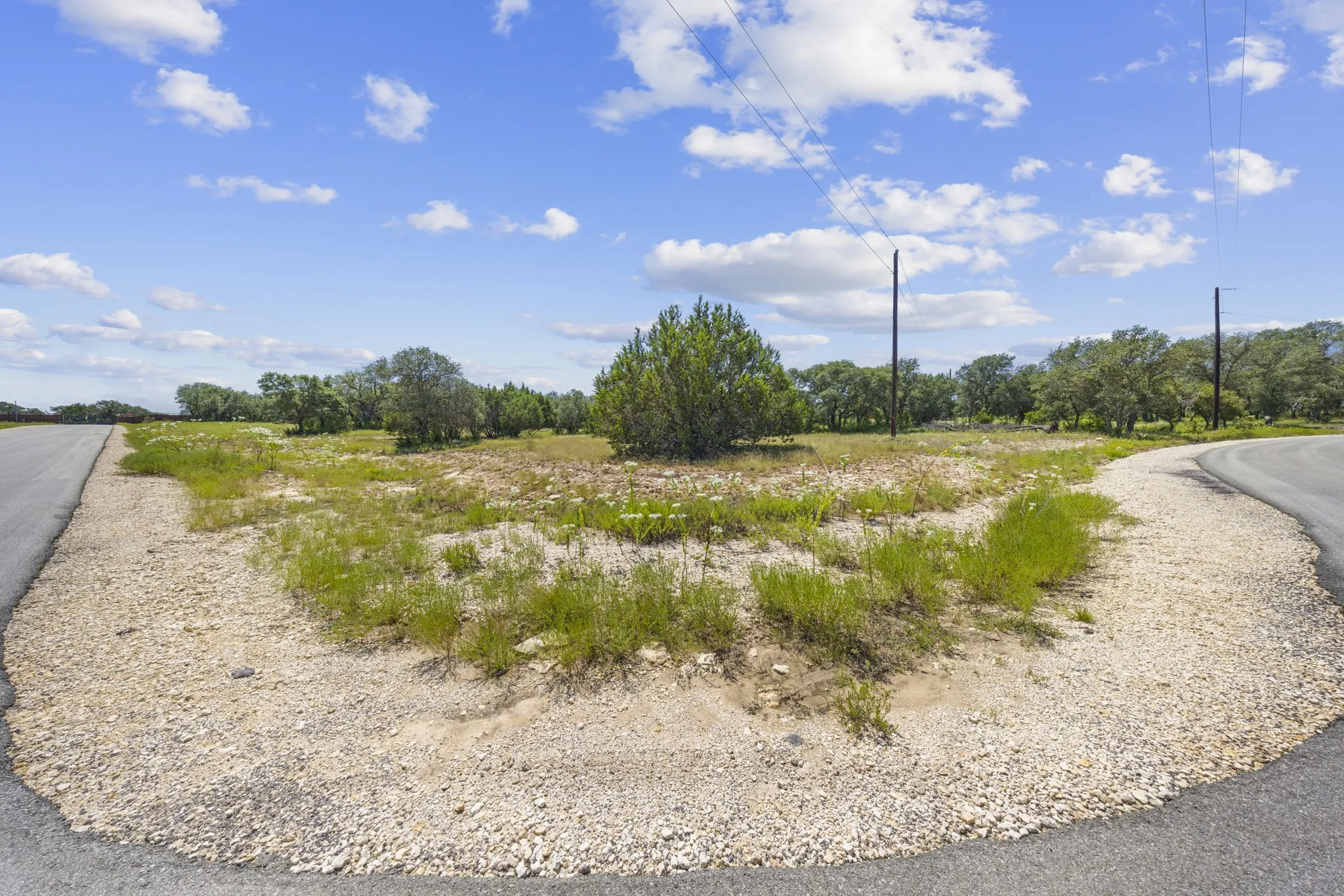 View of undeveloped land