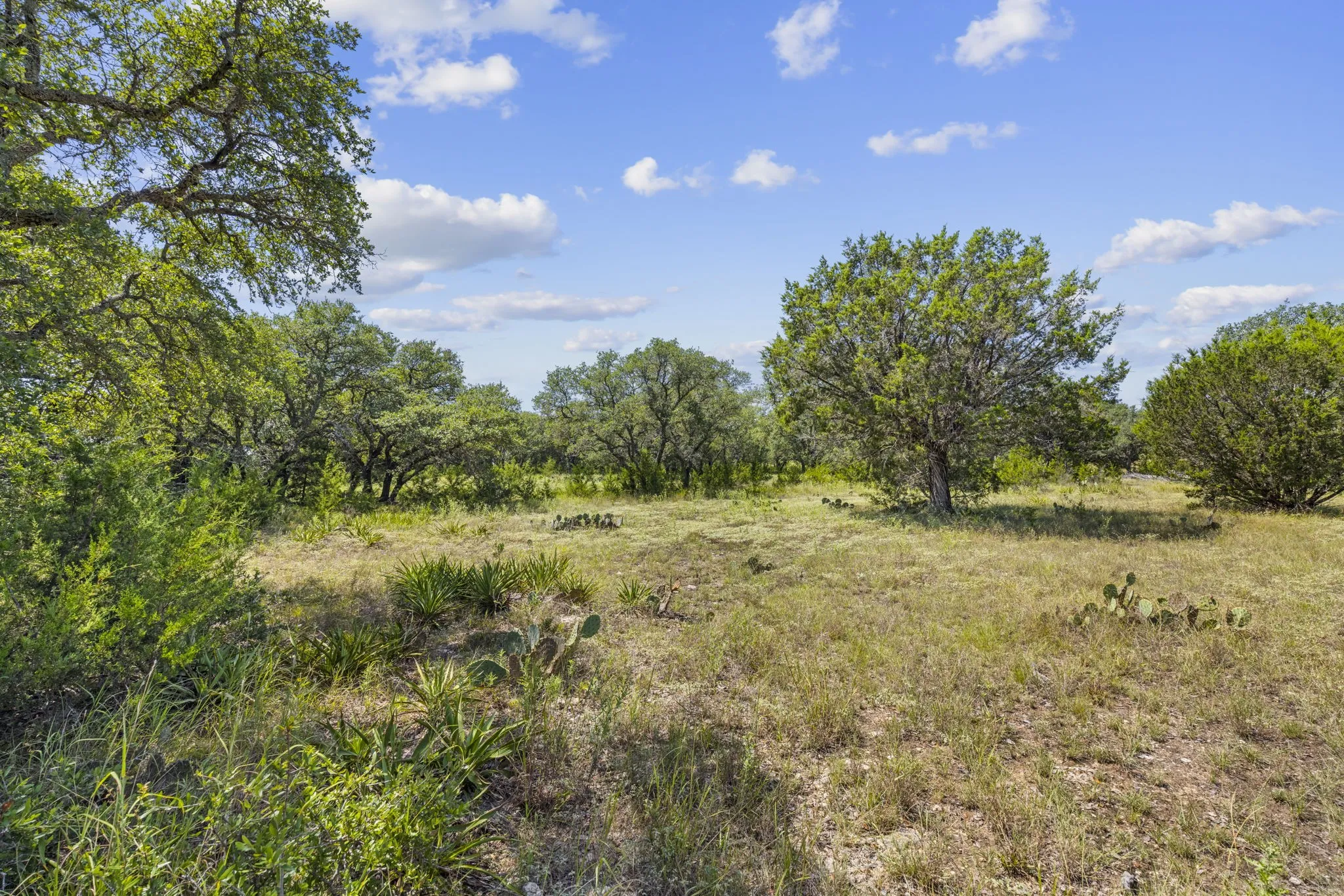 View of nature with rural landscape