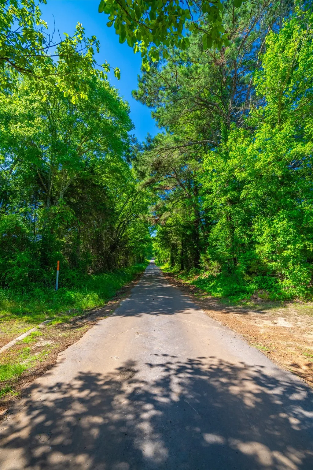 Ranch For Sale in Cass County , 0 County Road 2592, Marietta, Texas 75568, 0, 0, Garage spaces, 0 Sqft, built in 0, mls#21063181, Real Estate Agent in Marietta, Homes For Sale in Cass county, Homes For Sale in Marietta, Realtor in Marietta Texas, Real Estate Brokerage Independent Realty Texas, Luminita Cordes Realtor