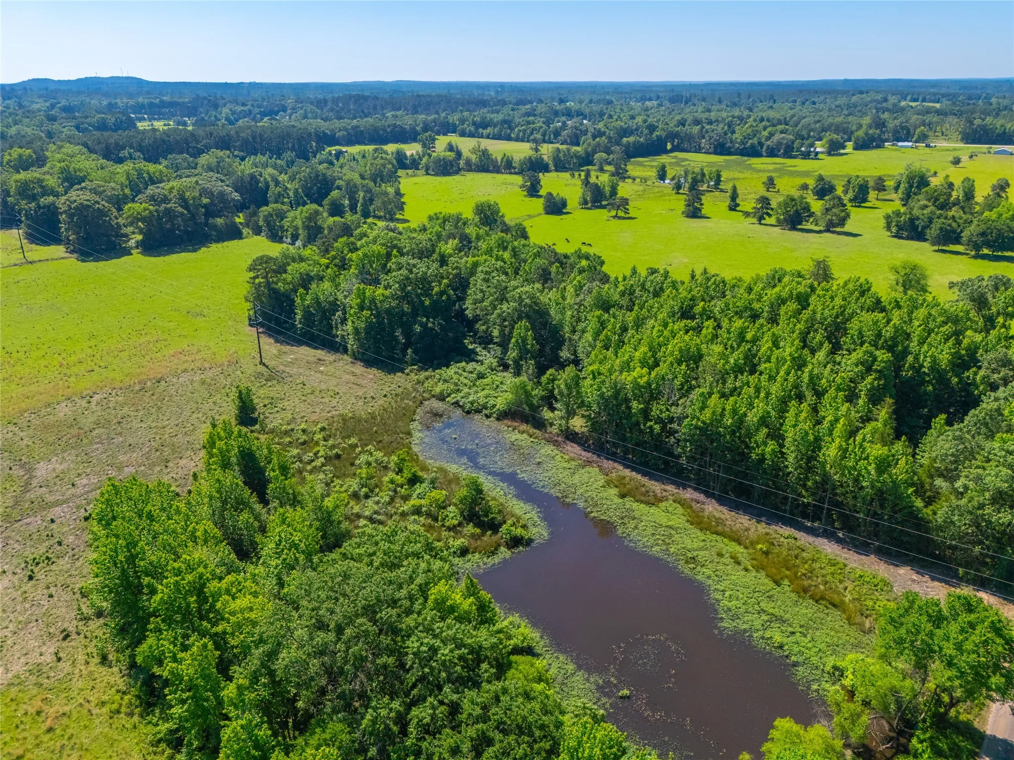Ranch For Sale in Cass County , 0 County Road 2592, Marietta, Texas 75568, 0, 0, Garage spaces, 0 Sqft, built in 0, mls#21063181, Real Estate Agent in Marietta, Homes For Sale in Cass county, Homes For Sale in Marietta, Realtor in Marietta Texas, Real Estate Brokerage Independent Realty Texas, Luminita Cordes Realtor