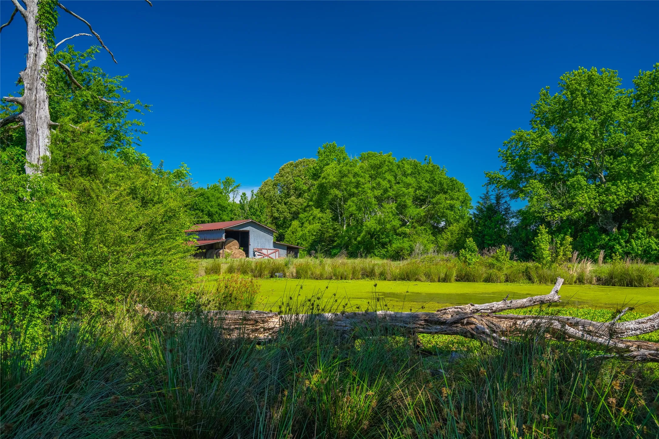 Ranch For Sale in Cass County , 0 County Road 2592, Marietta, Texas 75568, 0, 0, Garage spaces, 0 Sqft, built in 0, mls#21063181, Real Estate Agent in Marietta, Homes For Sale in Cass county, Homes For Sale in Marietta, Realtor in Marietta Texas, Real Estate Brokerage Independent Realty Texas, Luminita Cordes Realtor