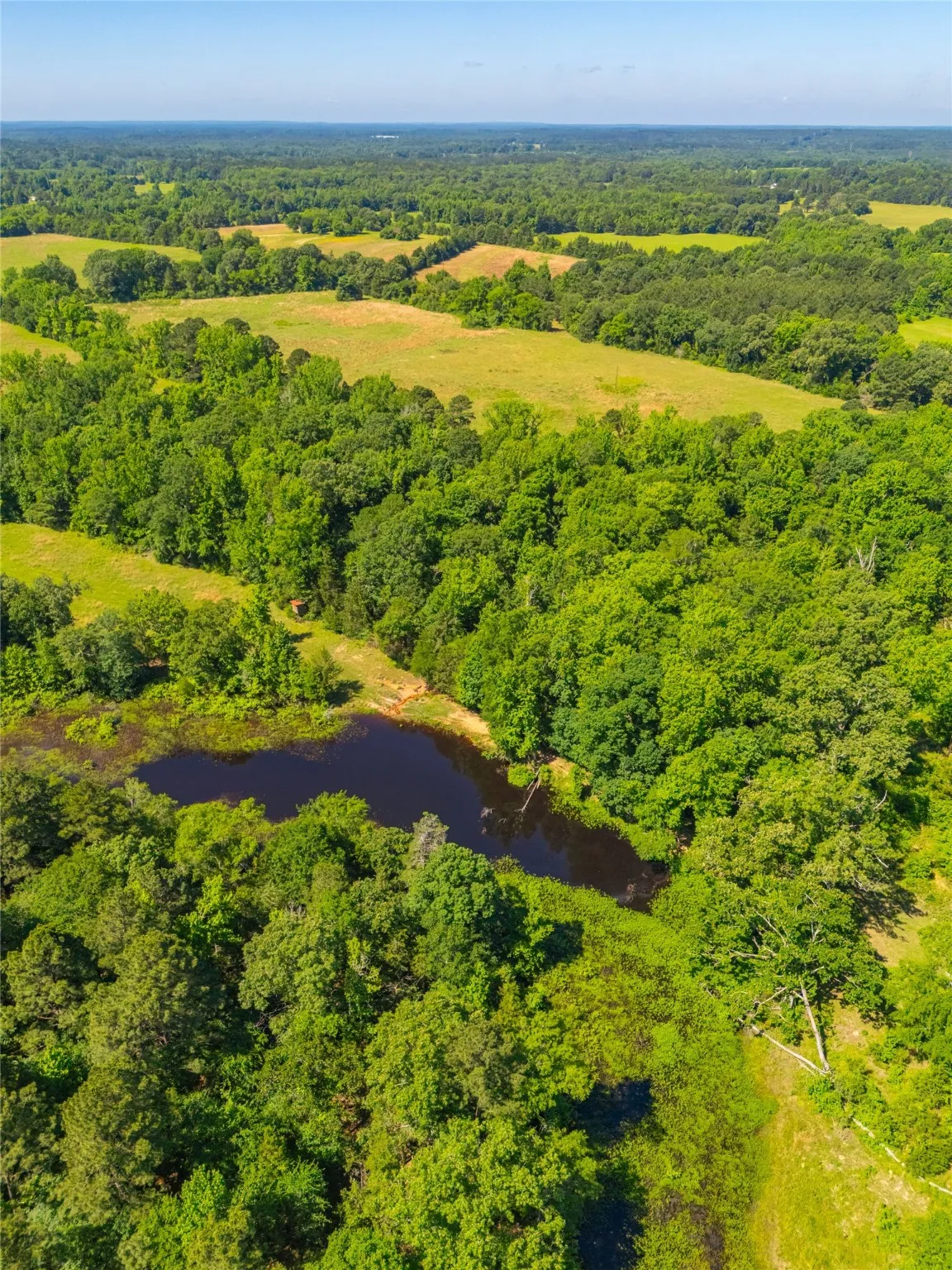 Ranch For Sale in Cass County , 0 County Road 2592, Marietta, Texas 75568, 0, 0, Garage spaces, 0 Sqft, built in 0, mls#21063181, Real Estate Agent in Marietta, Homes For Sale in Cass county, Homes For Sale in Marietta, Realtor in Marietta Texas, Real Estate Brokerage Independent Realty Texas, Luminita Cordes Realtor