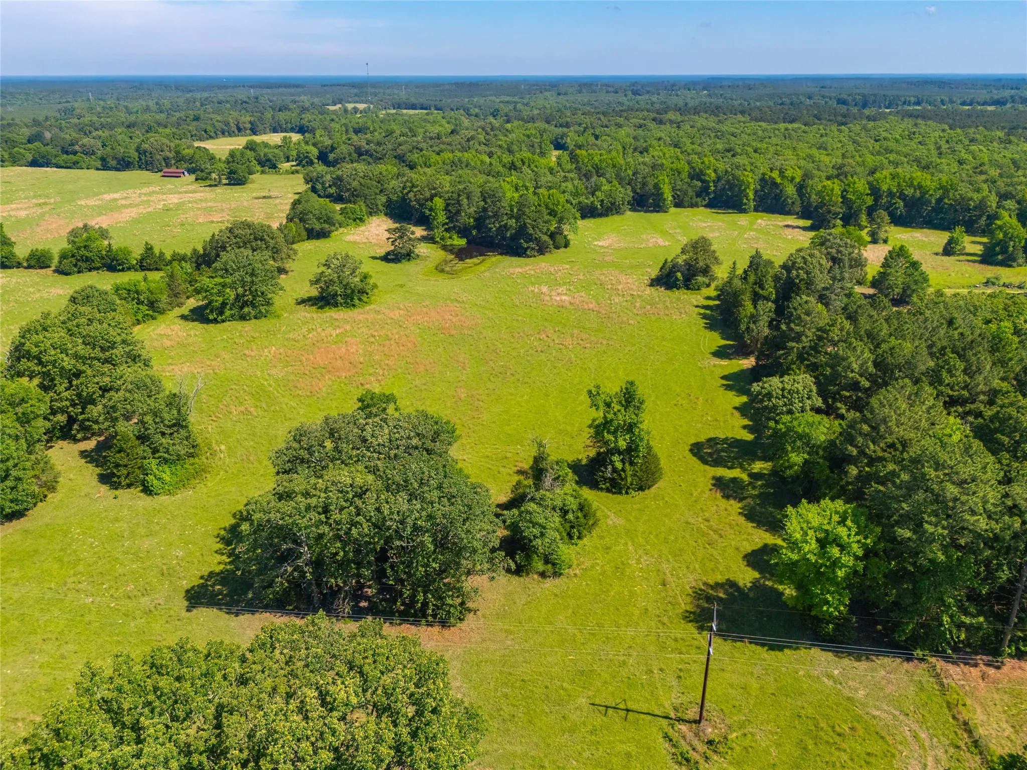 Ranch For Sale in Cass County , 0 County Road 2592, Marietta, Texas 75568, 0, 0, Garage spaces, 0 Sqft, built in 0, mls#21063181, Real Estate Agent in Marietta, Homes For Sale in Cass county, Homes For Sale in Marietta, Realtor in Marietta Texas, Real Estate Brokerage Independent Realty Texas, Luminita Cordes Realtor
