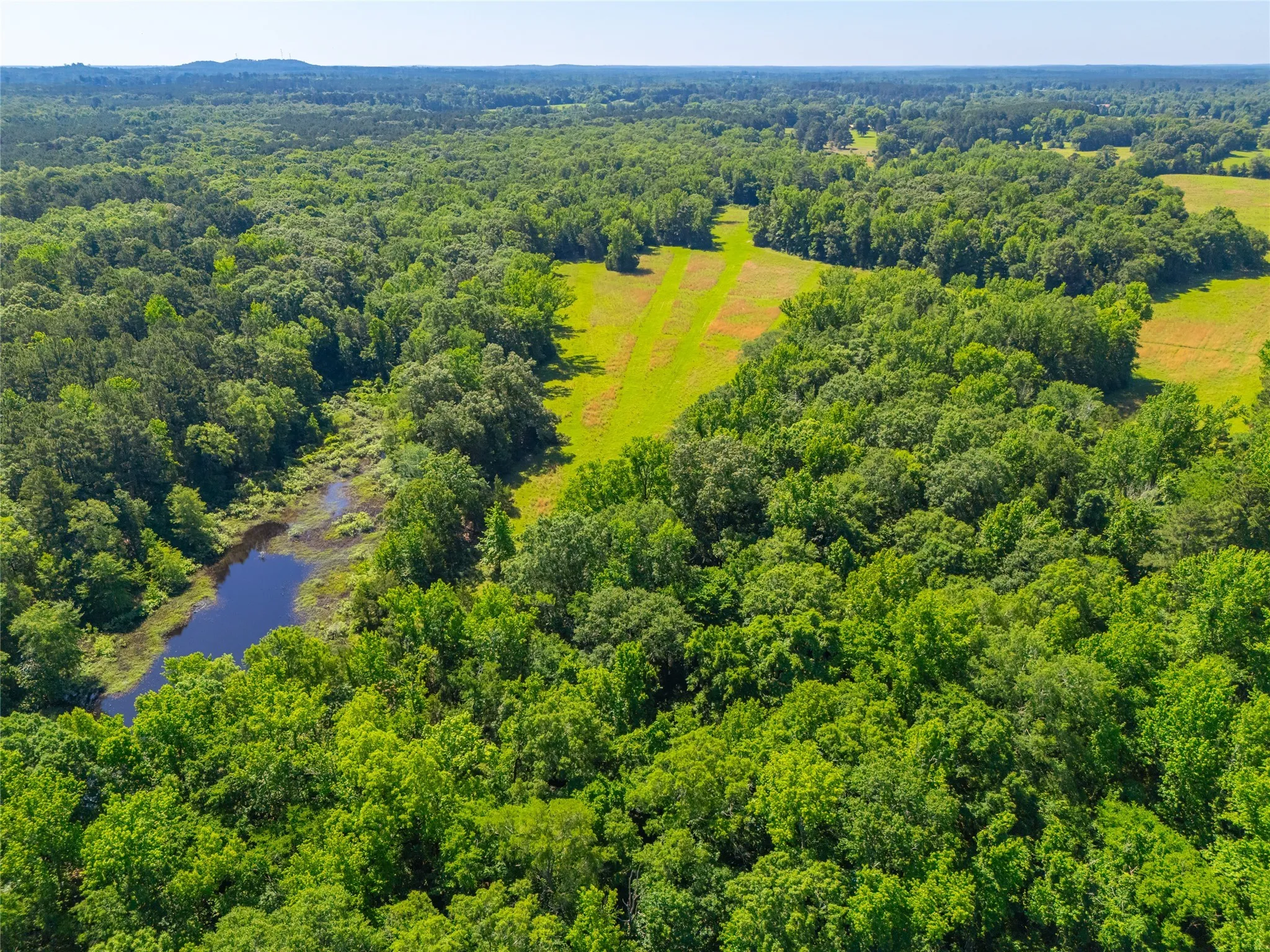 Ranch For Sale in Cass County , 0 County Road 2592, Marietta, Texas 75568, 0, 0, Garage spaces, 0 Sqft, built in 0, mls#21063181, Real Estate Agent in Marietta, Homes For Sale in Cass county, Homes For Sale in Marietta, Realtor in Marietta Texas, Real Estate Brokerage Independent Realty Texas, Luminita Cordes Realtor