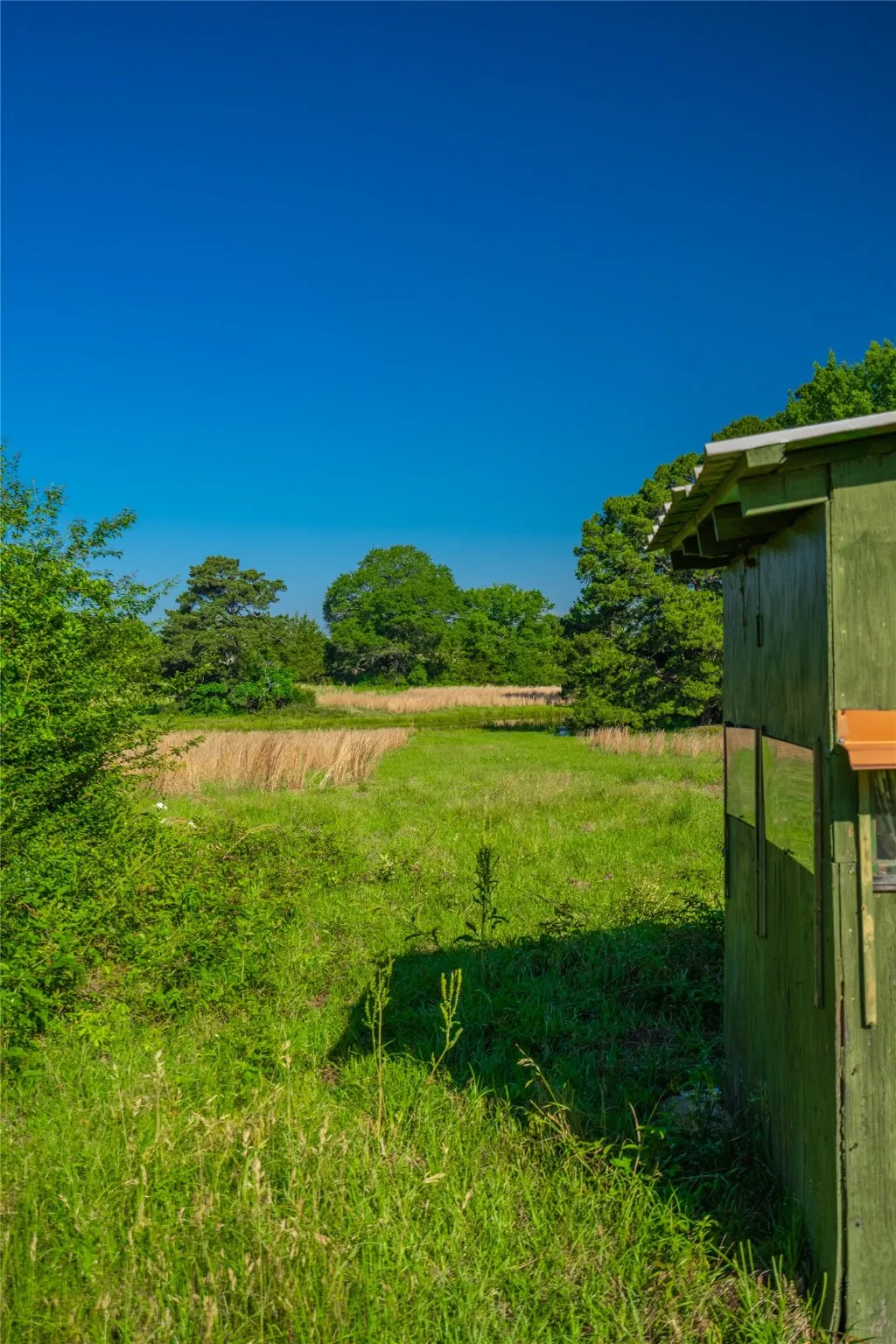 Ranch For Sale in Cass County , 0 County Road 2592, Marietta, Texas 75568, 0, 0, Garage spaces, 0 Sqft, built in 0, mls#21063181, Real Estate Agent in Marietta, Homes For Sale in Cass county, Homes For Sale in Marietta, Realtor in Marietta Texas, Real Estate Brokerage Independent Realty Texas, Luminita Cordes Realtor