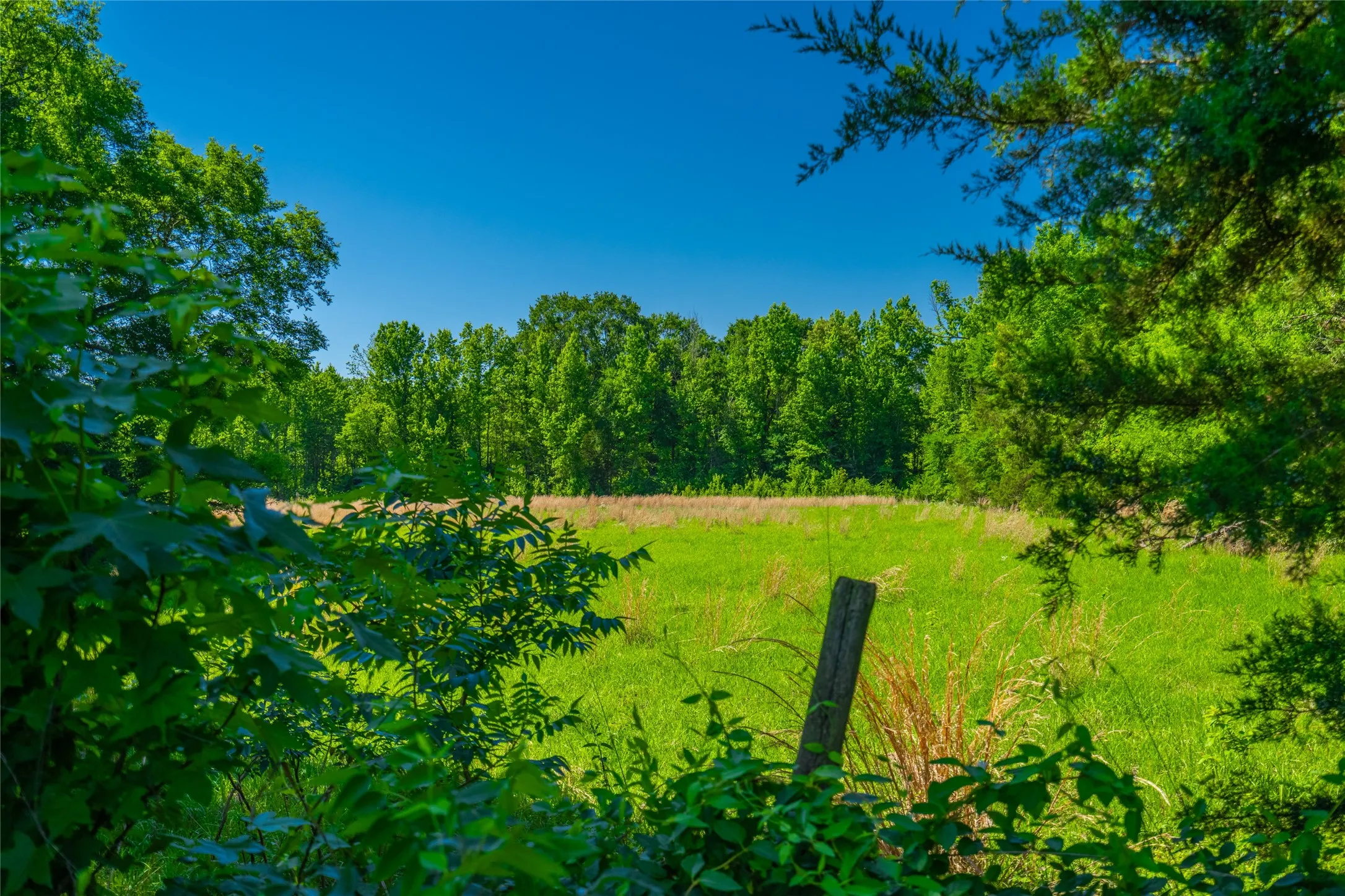 Ranch For Sale in Cass County , 0 County Road 2592, Marietta, Texas 75568, 0, 0, Garage spaces, 0 Sqft, built in 0, mls#21063181, Real Estate Agent in Marietta, Homes For Sale in Cass county, Homes For Sale in Marietta, Realtor in Marietta Texas, Real Estate Brokerage Independent Realty Texas, Luminita Cordes Realtor