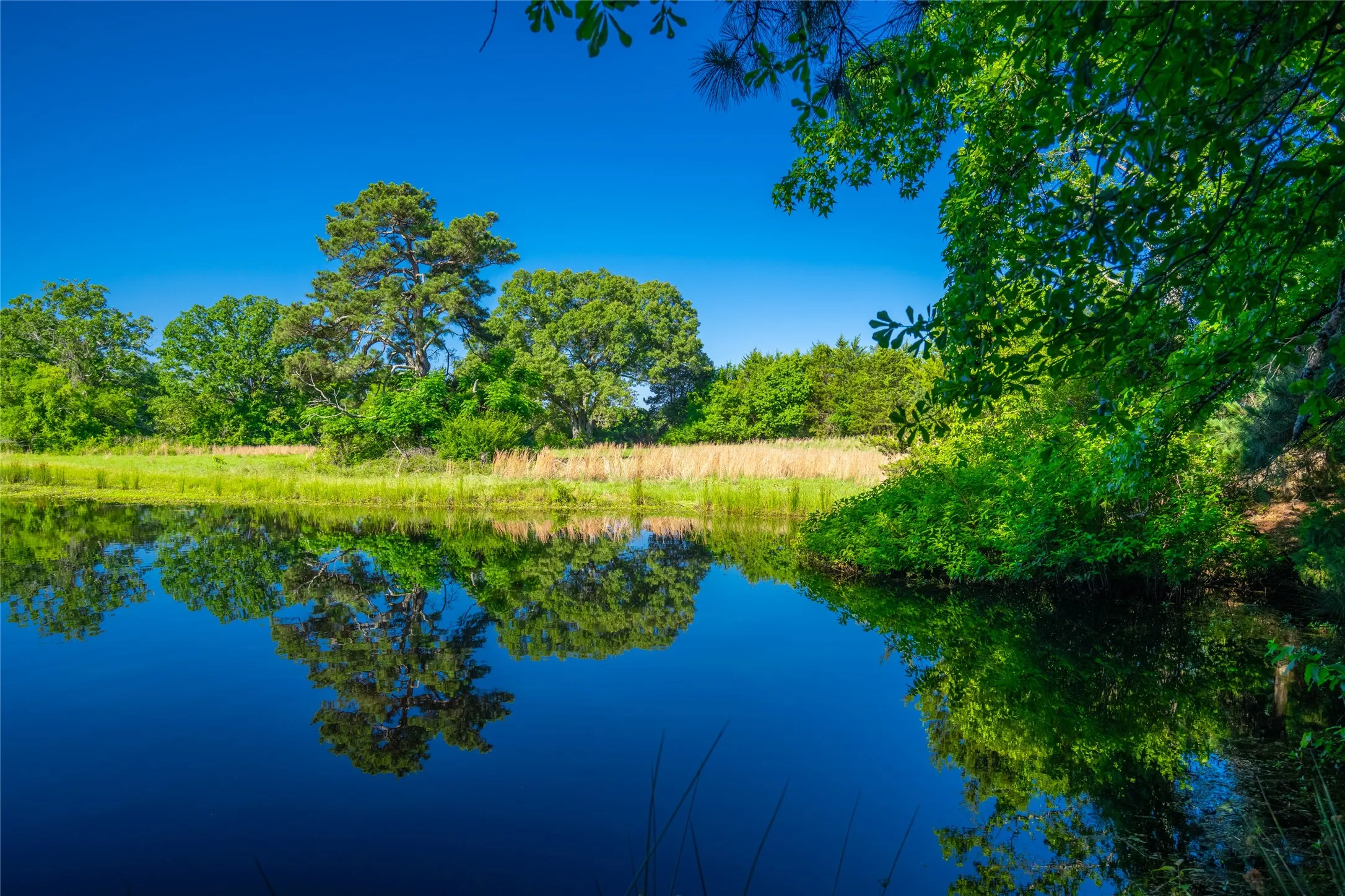 Ranch For Sale in Cass County , 0 County Road 2592, Marietta, Texas 75568, 0, 0, Garage spaces, 0 Sqft, built in 0, mls#21063181, Real Estate Agent in Marietta, Homes For Sale in Cass county, Homes For Sale in Marietta, Realtor in Marietta Texas, Real Estate Brokerage Independent Realty Texas, Luminita Cordes Realtor