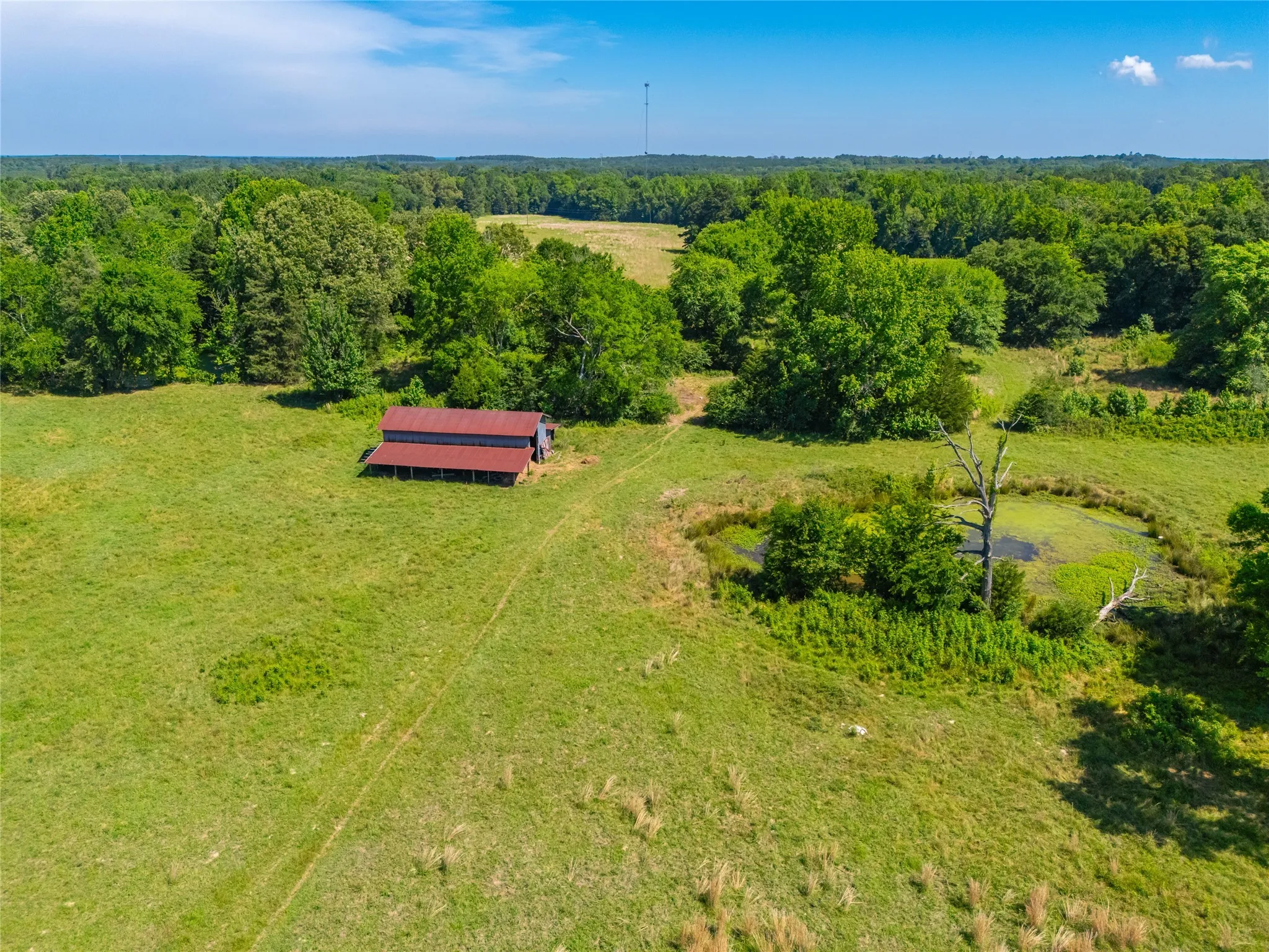 Ranch For Sale in Cass County , 0 County Road 2592, Marietta, Texas 75568, 0, 0, Garage spaces, 0 Sqft, built in 0, mls#21063181, Real Estate Agent in Marietta, Homes For Sale in Cass county, Homes For Sale in Marietta, Realtor in Marietta Texas, Real Estate Brokerage Independent Realty Texas, Luminita Cordes Realtor