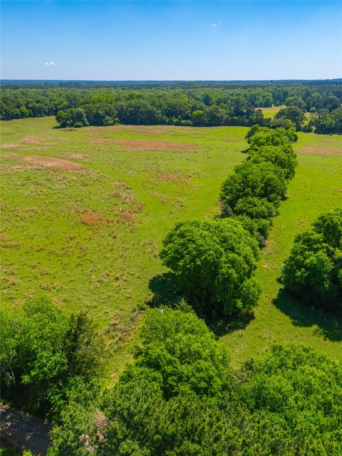 Ranch For Sale in Cass County , 0 County Road 2592, Marietta, Texas 75568, 0, 0, Garage spaces, 0 Sqft, built in 0, mls#21063181, Real Estate Agent in Marietta, Homes For Sale in Cass county, Homes For Sale in Marietta, Realtor in Marietta Texas, Real Estate Brokerage Independent Realty Texas, Luminita Cordes Realtor