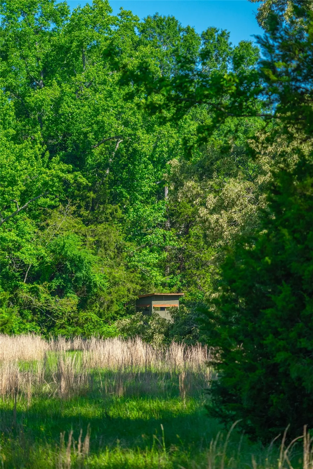 Ranch For Sale in Cass County , 0 County Road 2592, Marietta, Texas 75568, 0, 0, Garage spaces, 0 Sqft, built in 0, mls#21063181, Real Estate Agent in Marietta, Homes For Sale in Cass county, Homes For Sale in Marietta, Realtor in Marietta Texas, Real Estate Brokerage Independent Realty Texas, Luminita Cordes Realtor